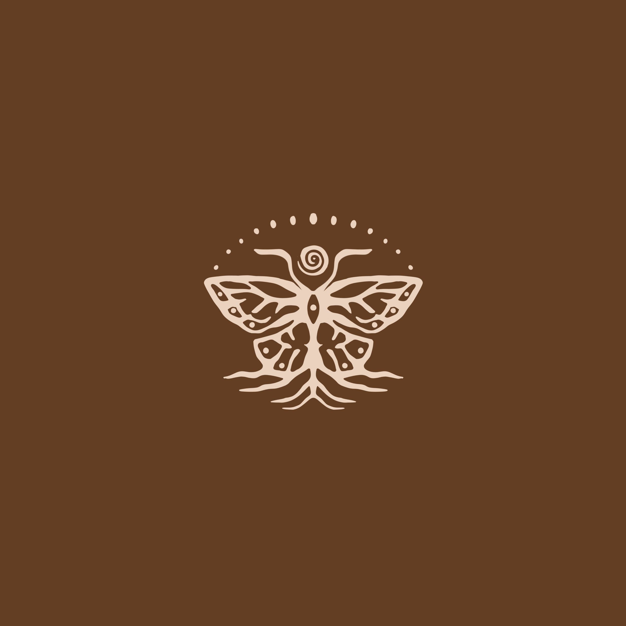logo_blanc_terracota.png