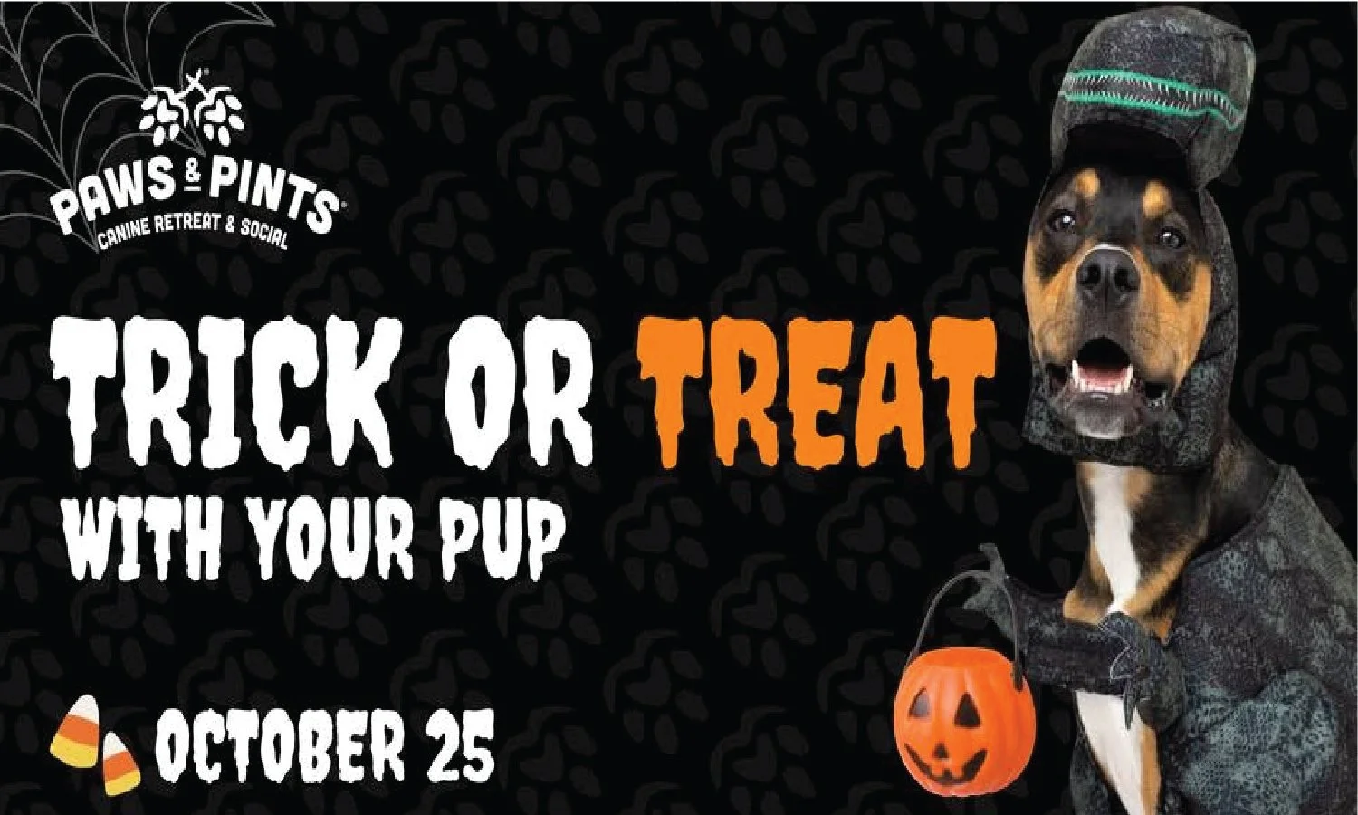 Trick or Treat with Your Pup at Paws &amp; Pints in Des Moines