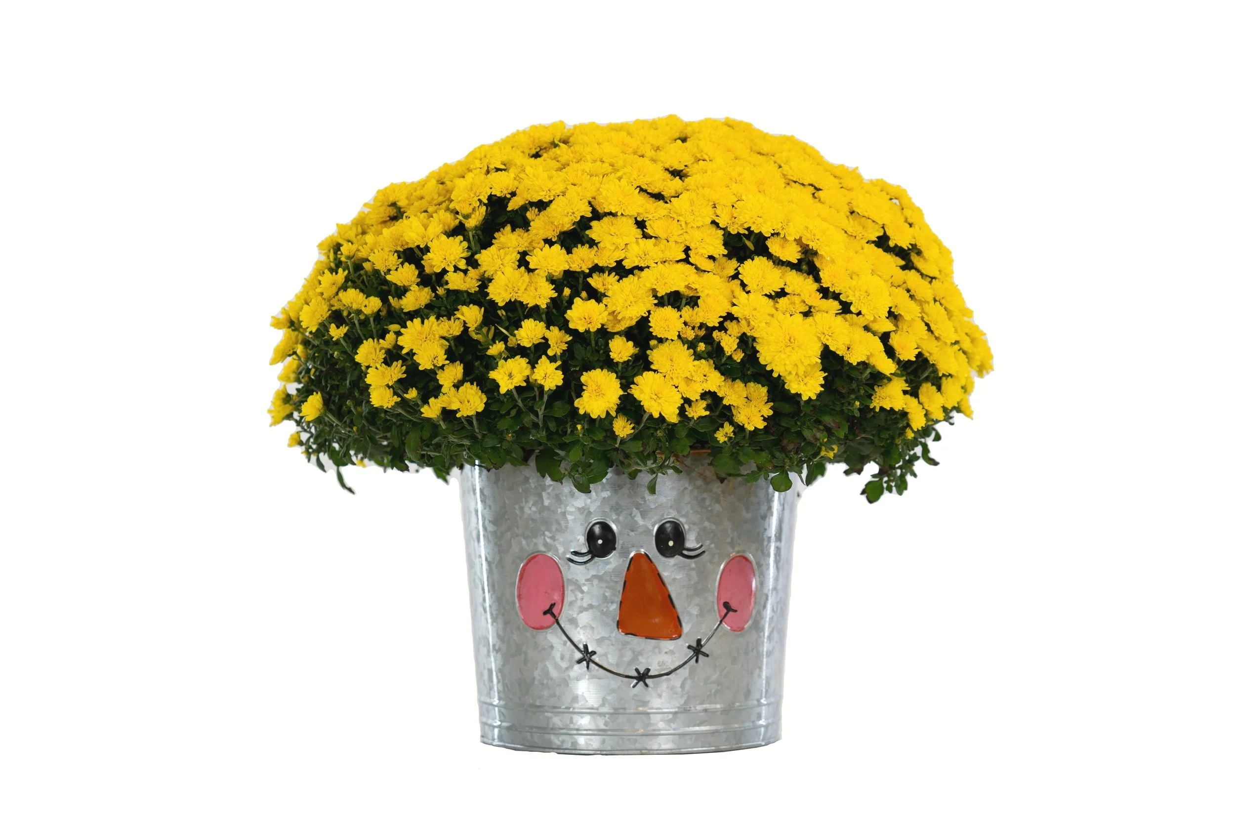 15_Scarecrow Product (1).jpg