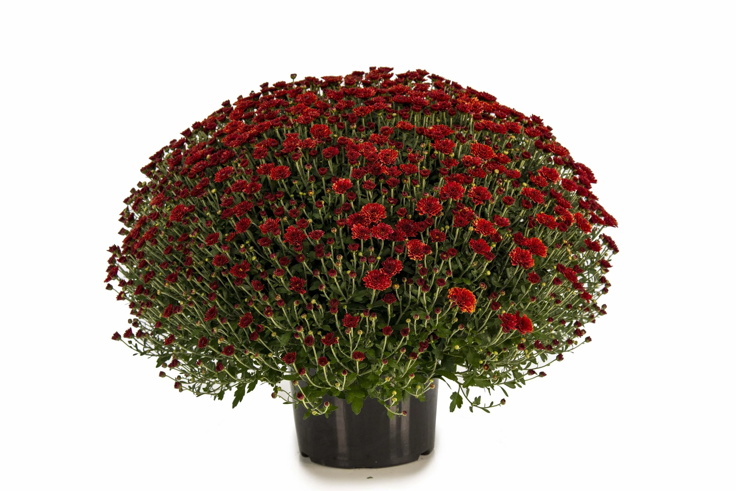 12_Rusty Product_(1).jpg