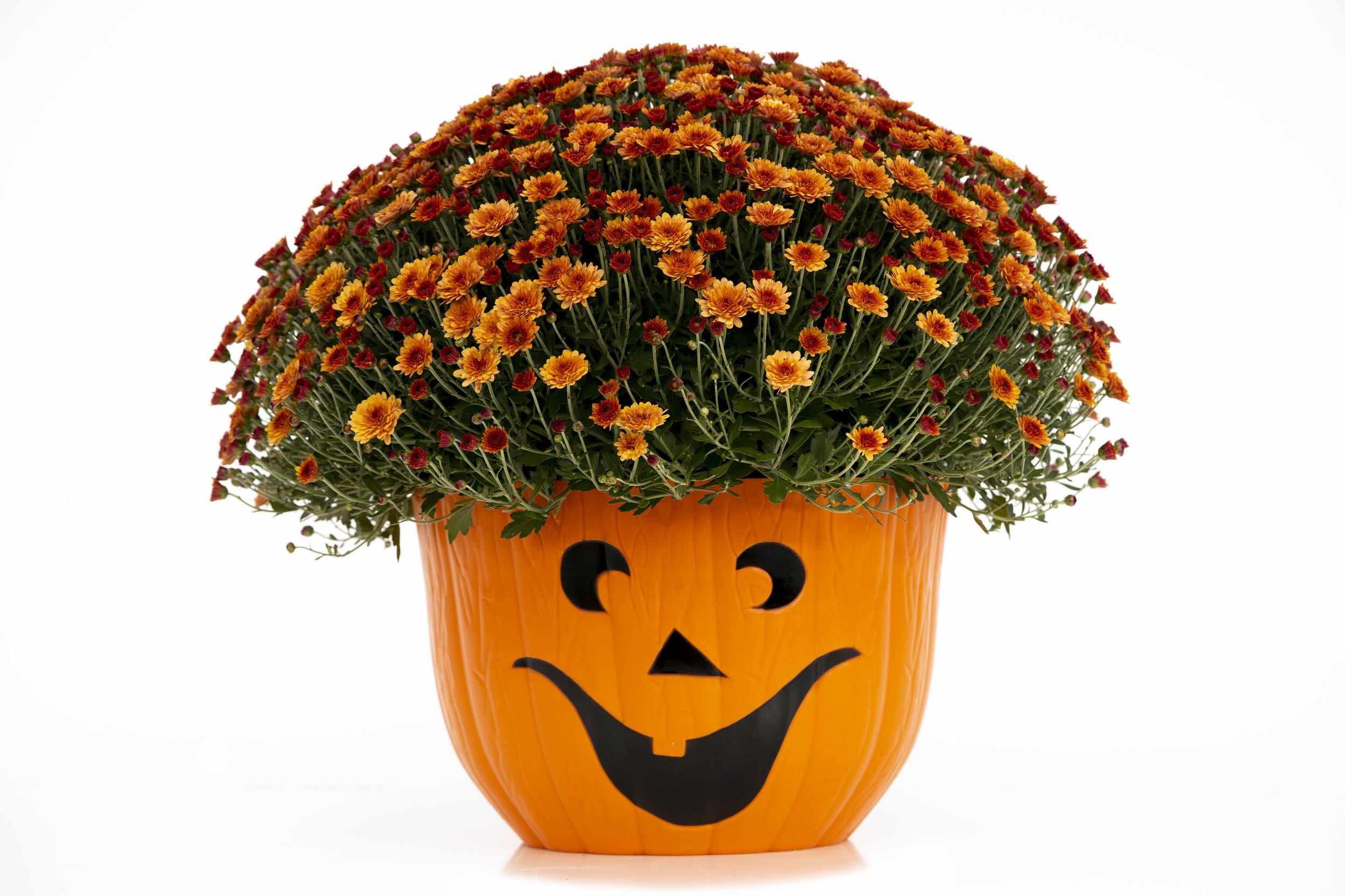 7_Autumn Sr_(1).jpg