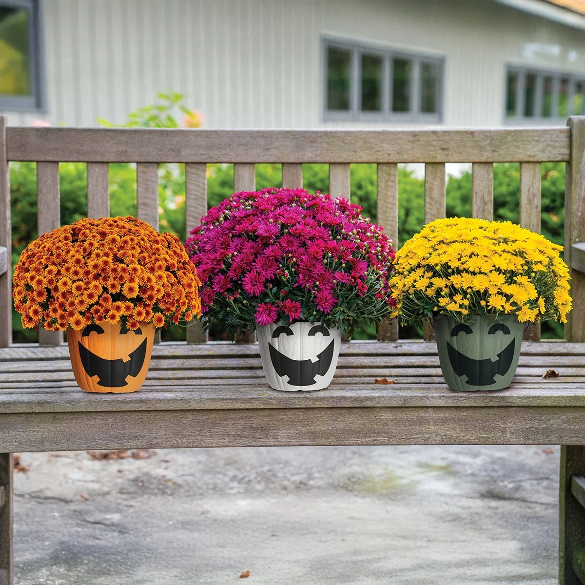 19_ Mumkin Patch Kids 1-Square.jpg