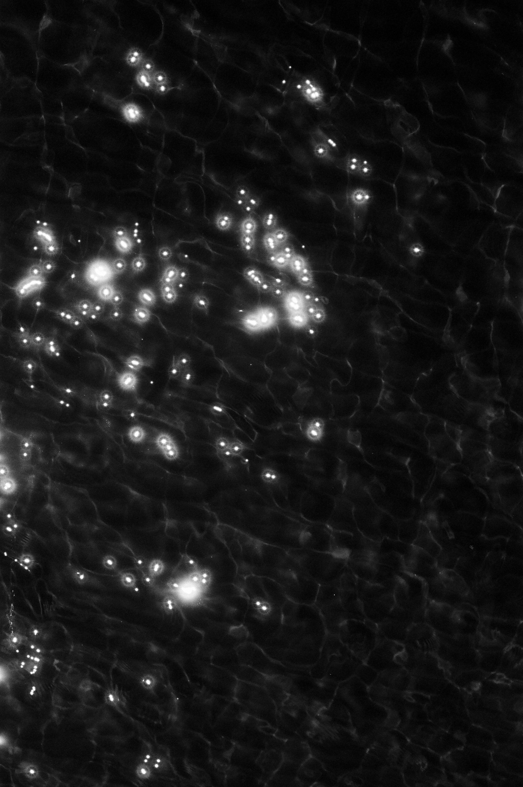 534830010023-2.jpg