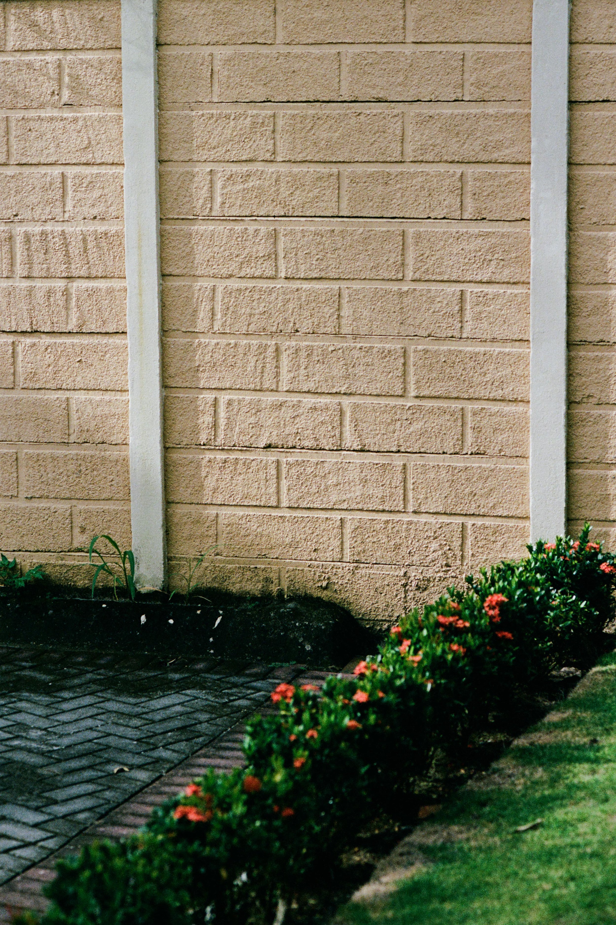 019683020006-2-min.jpg