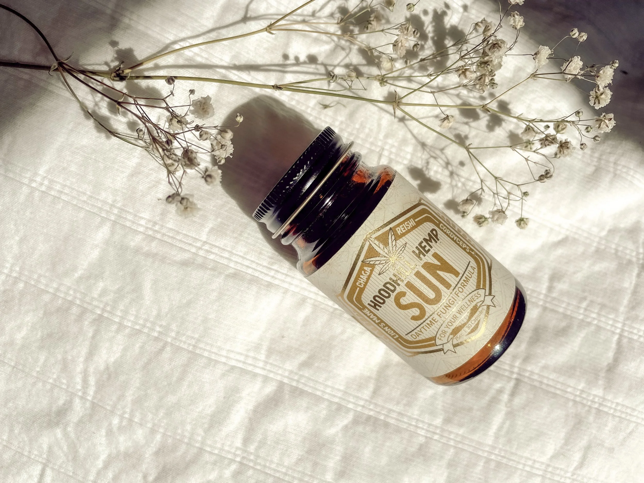 Tezza-2493 2 (1).JPG