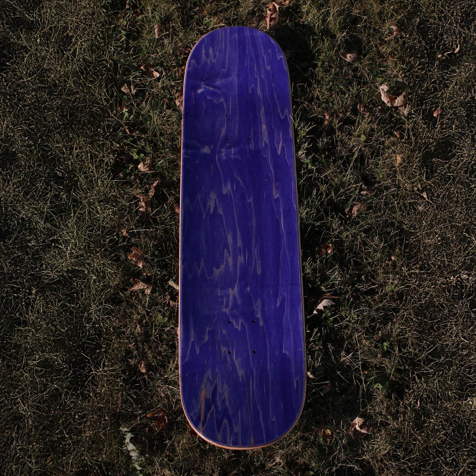 IMG_0040.png