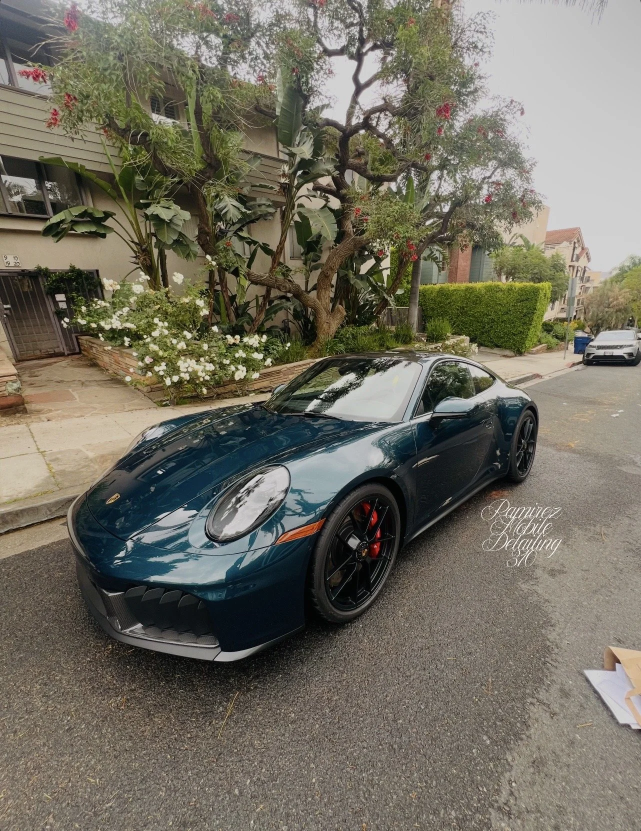 Porsche 911 Carrera 4 GTS Paint to Sample received our Mini Detail