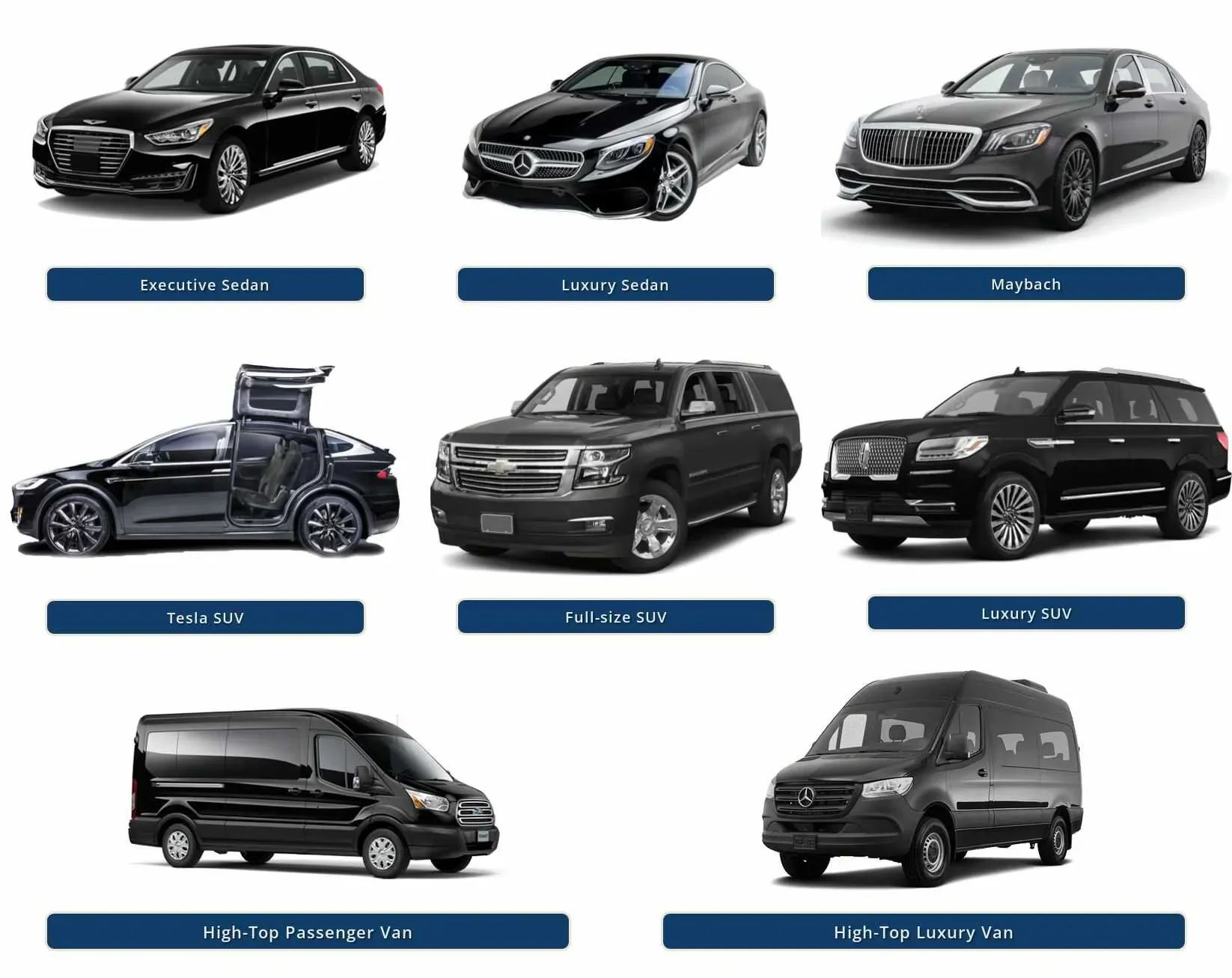 Array of nine luxury and high-end vehicles, including executive sedan, luxury sedan, Maybach, Tesla SUV with gullwing door, full-size SUV, luxury SUV, high-top passenger van, and high-top luxury van.