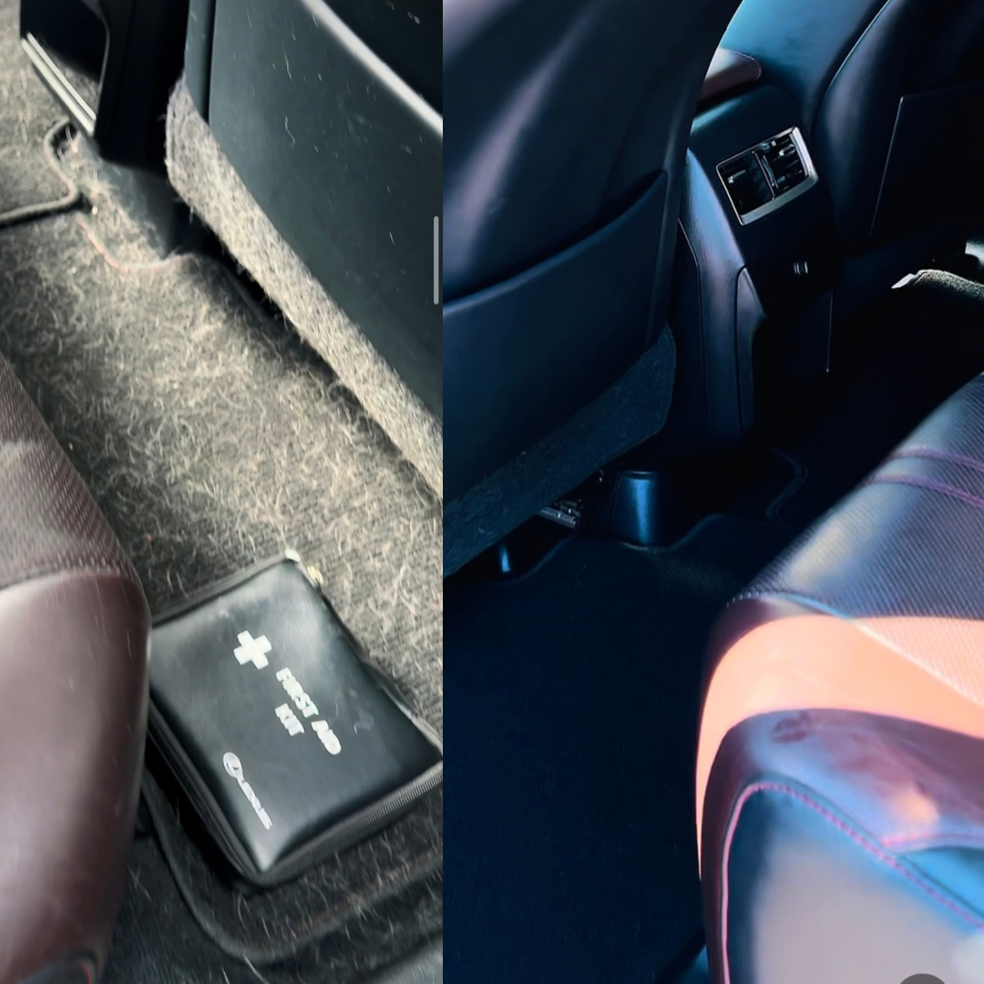 lexus interior pet hair removal 