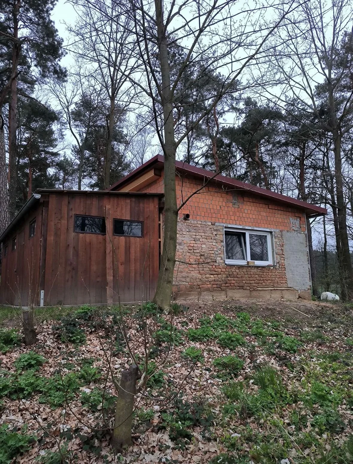 Schuppen Aussen anfang 2.jpeg