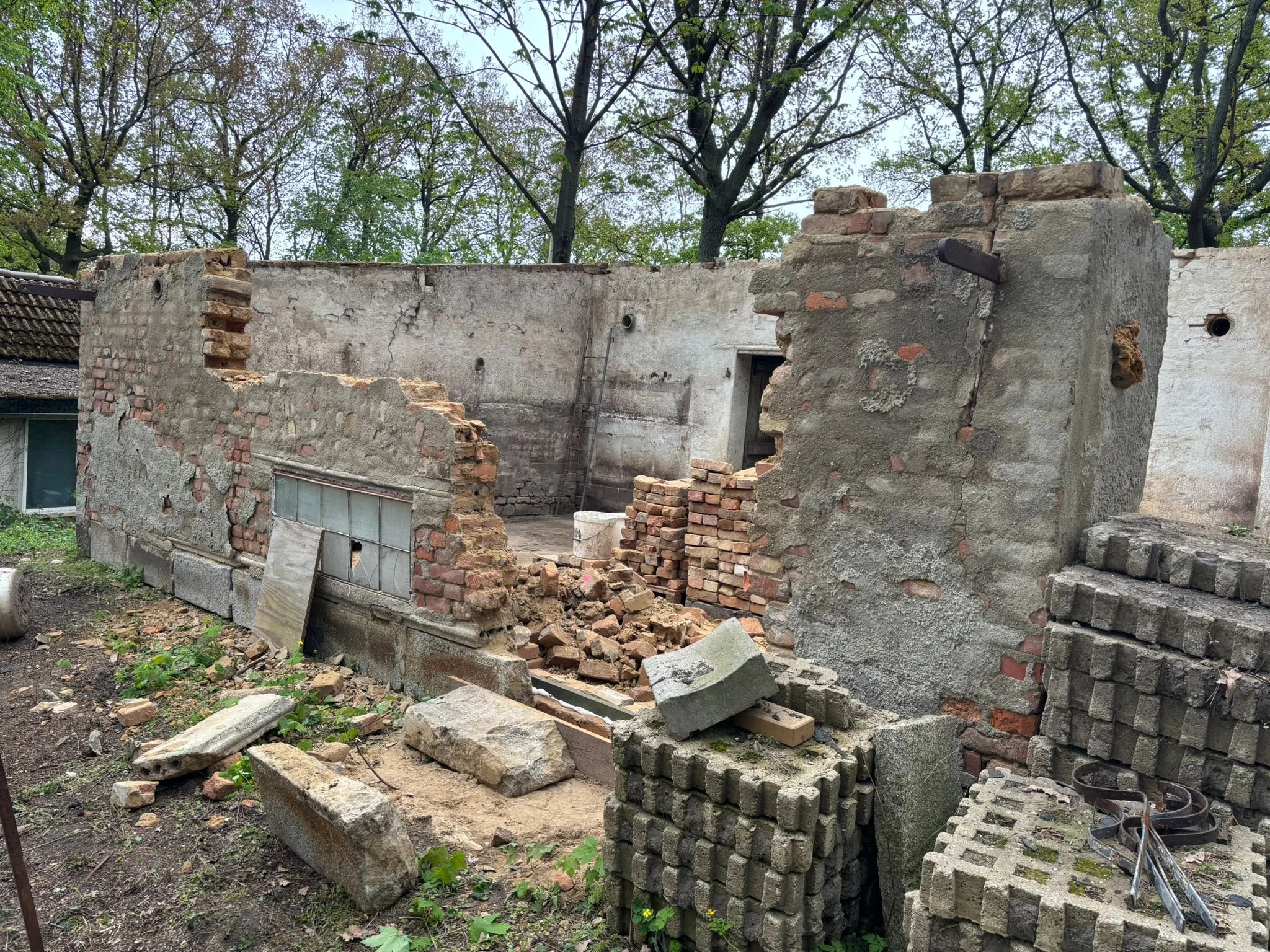 Schuppen Anfang.jpeg