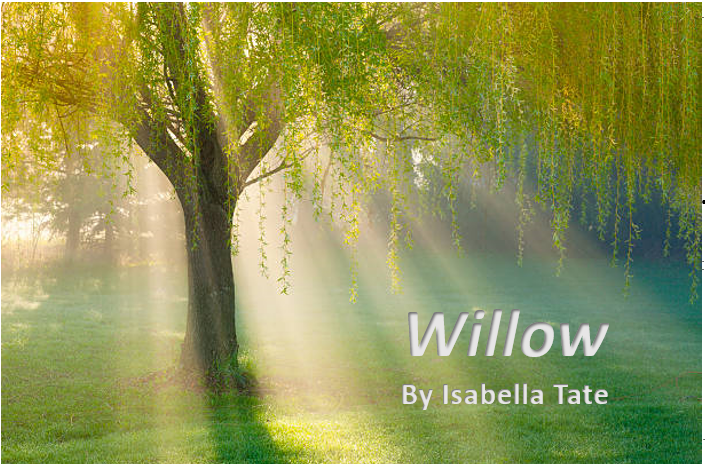 Willow