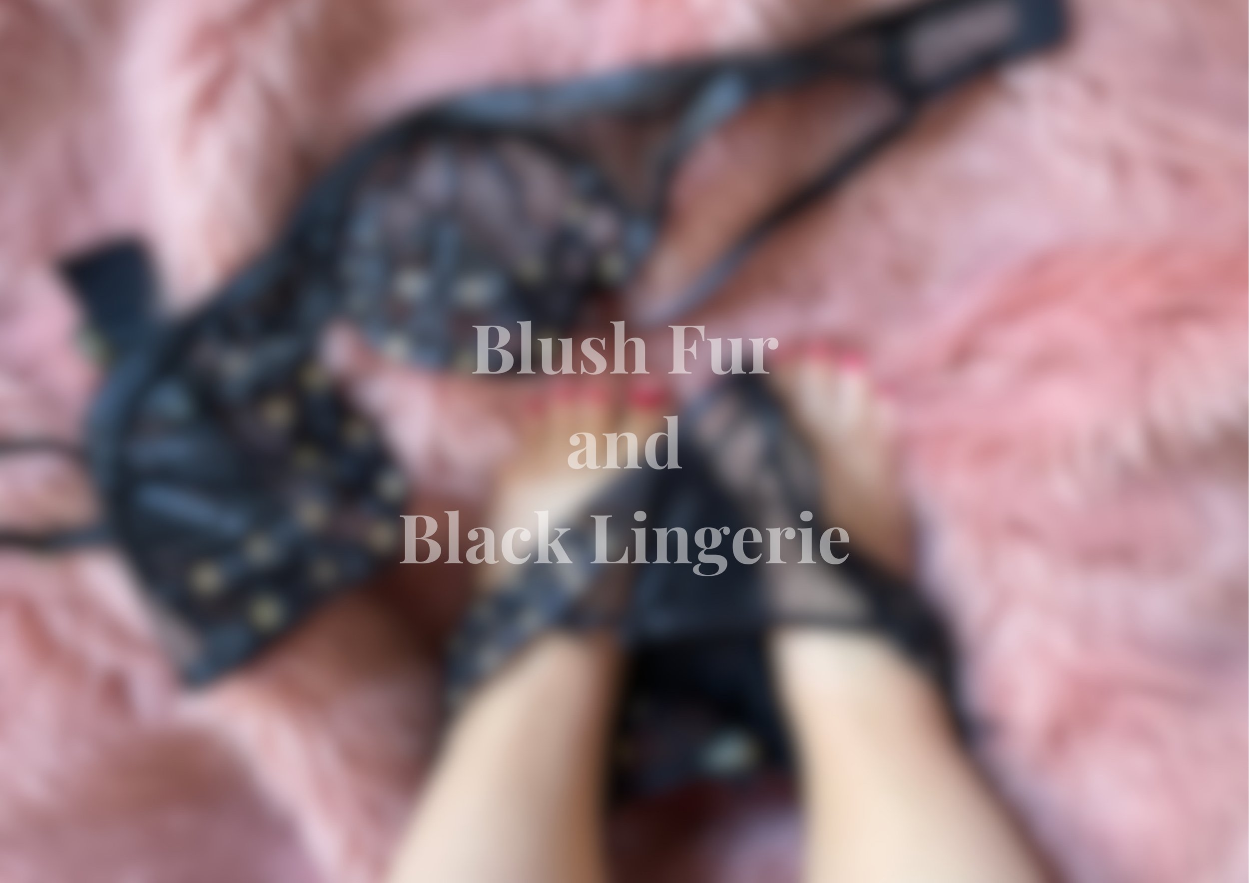 Blush Fur and Black Lingerie