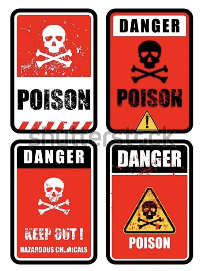 Everyday toxins and fertility: what you actually need to know