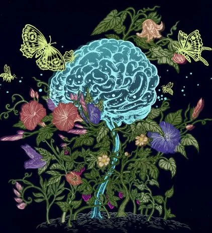 When oestrogen declines &amp; how this affects the brain