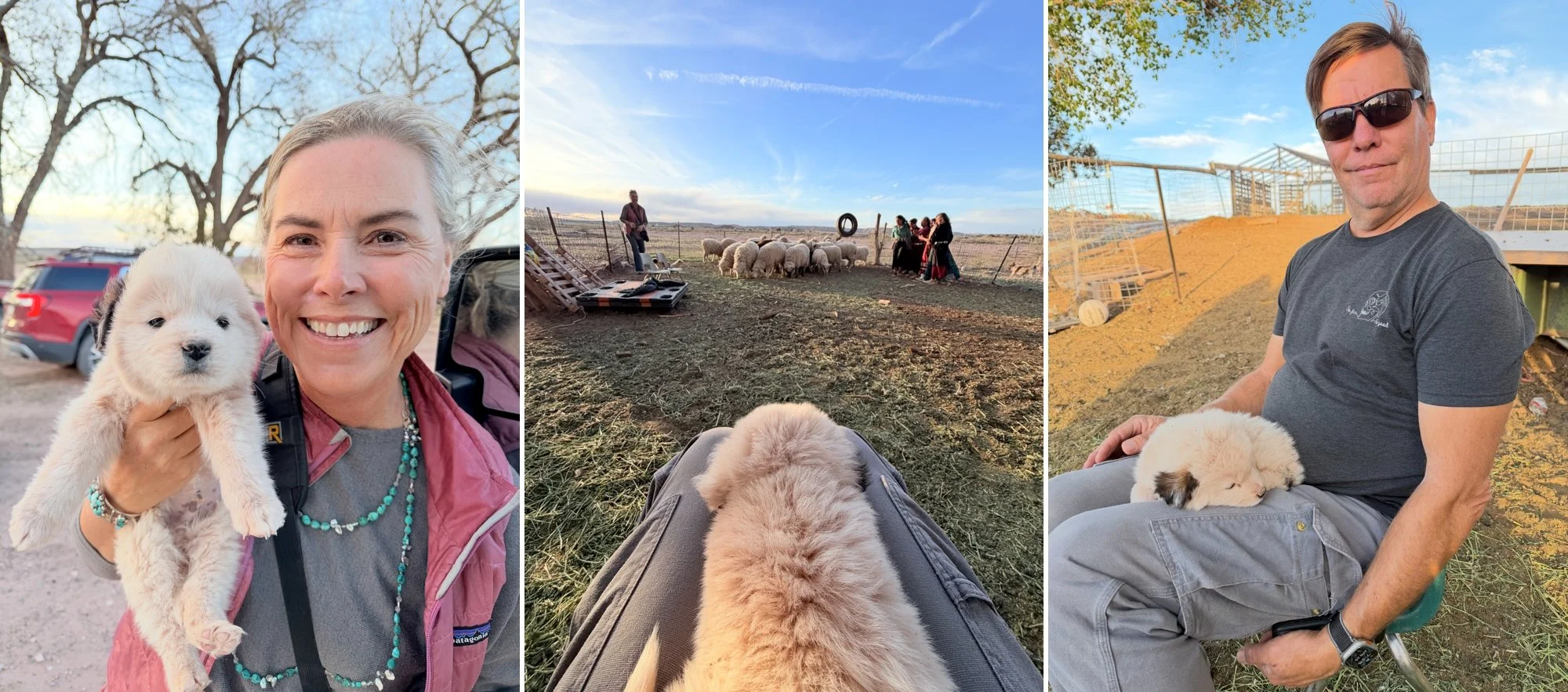 Kim Brundage and Jeff Dillon with a rez puppy during a Diné Women Empowerment Series session in Ganado, Arizona.