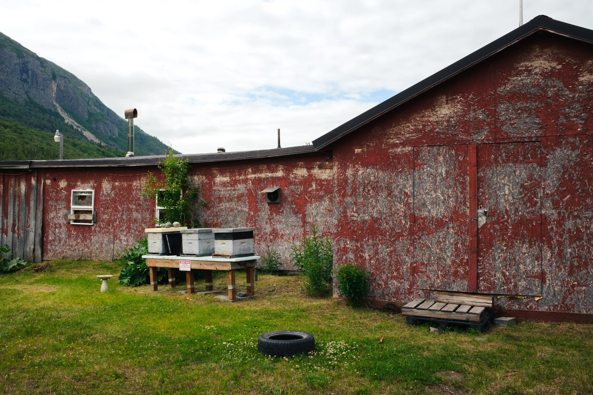 DSCF3109.jpg