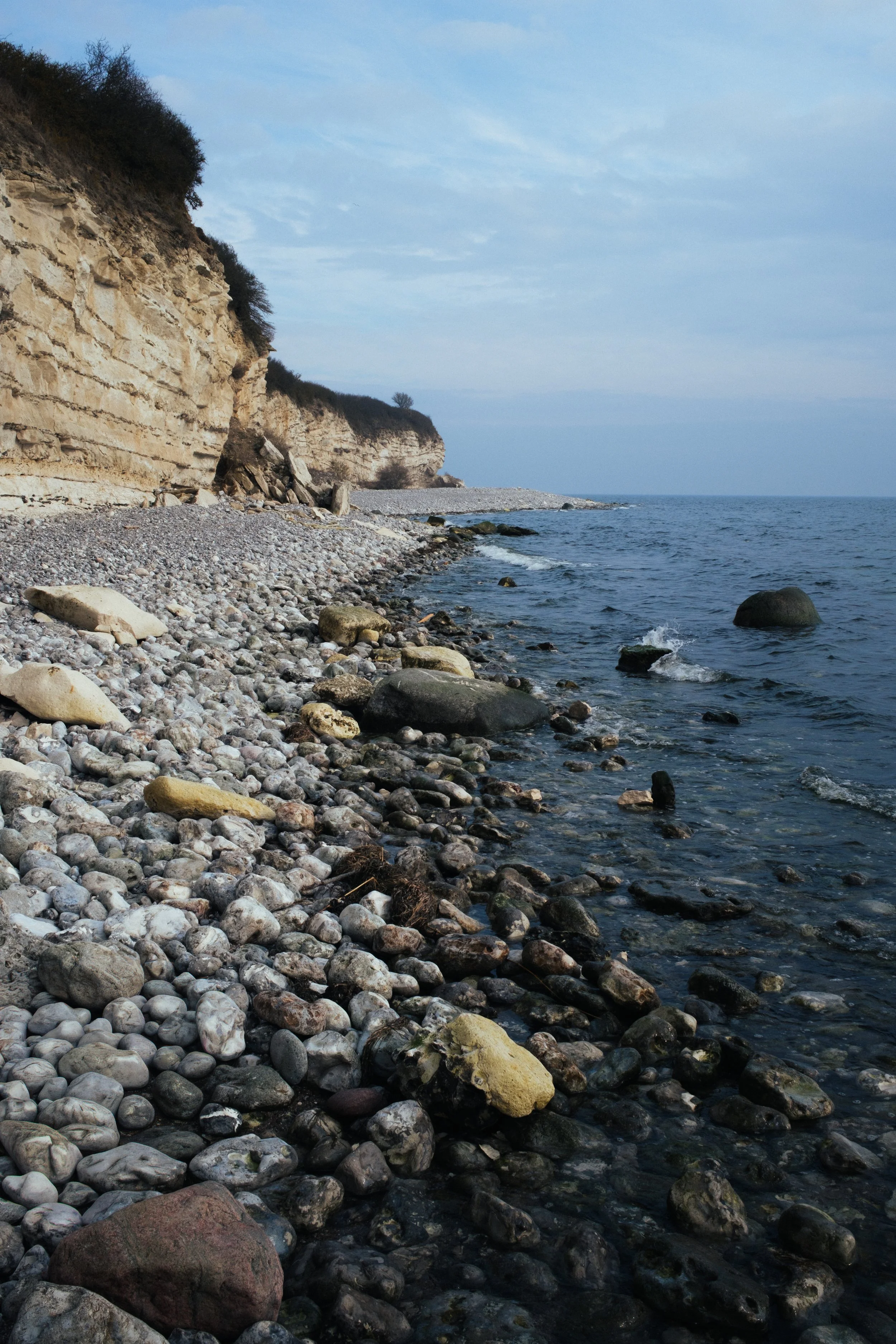 DSCF0225.jpg