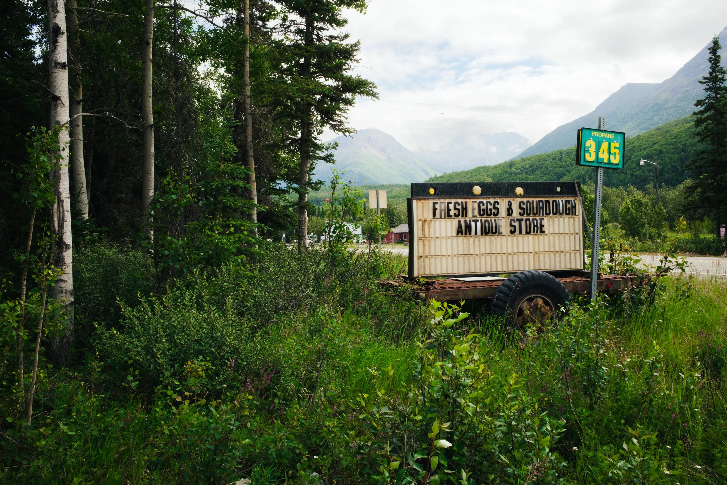 DSCF3096.jpg