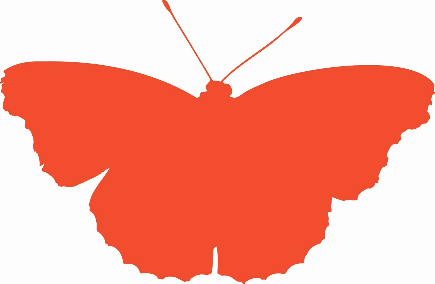 TATUM OF TWO RIVERS IS NOW RED ADMIRAL DESIGN