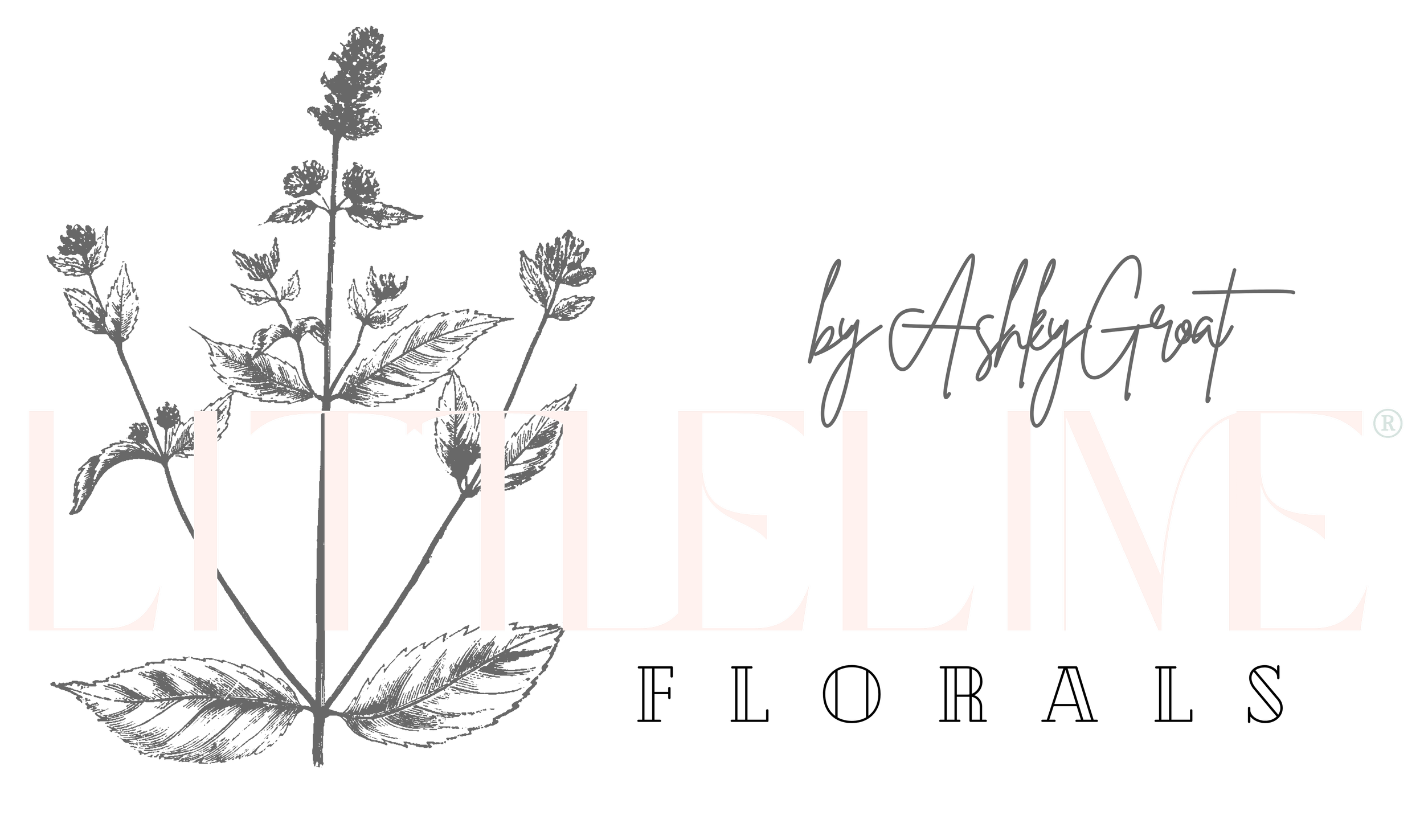 The image features the brand name 'LITTLE LIME FLORALS' in large, elegant font on a black background.