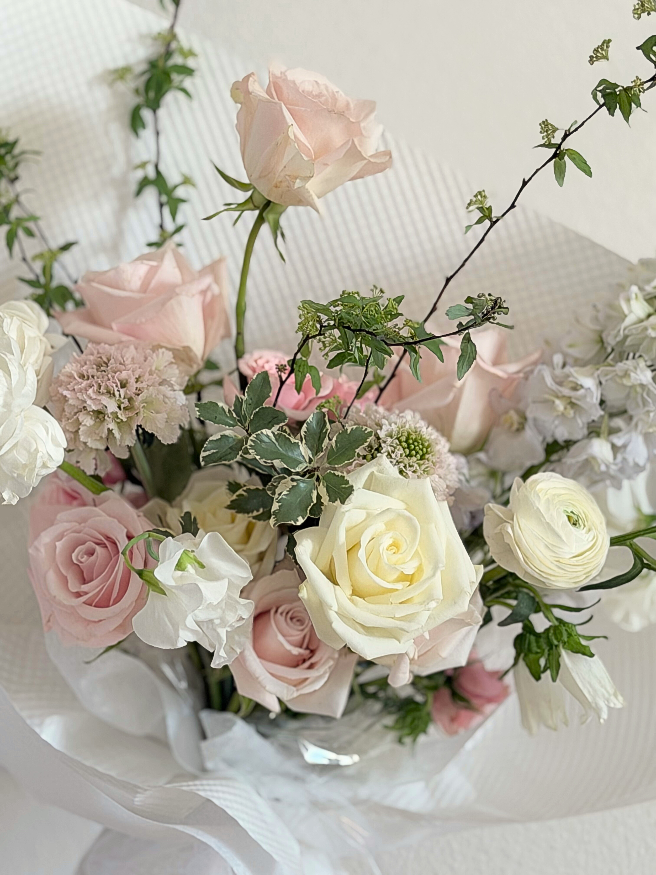 Untitled design (11).png