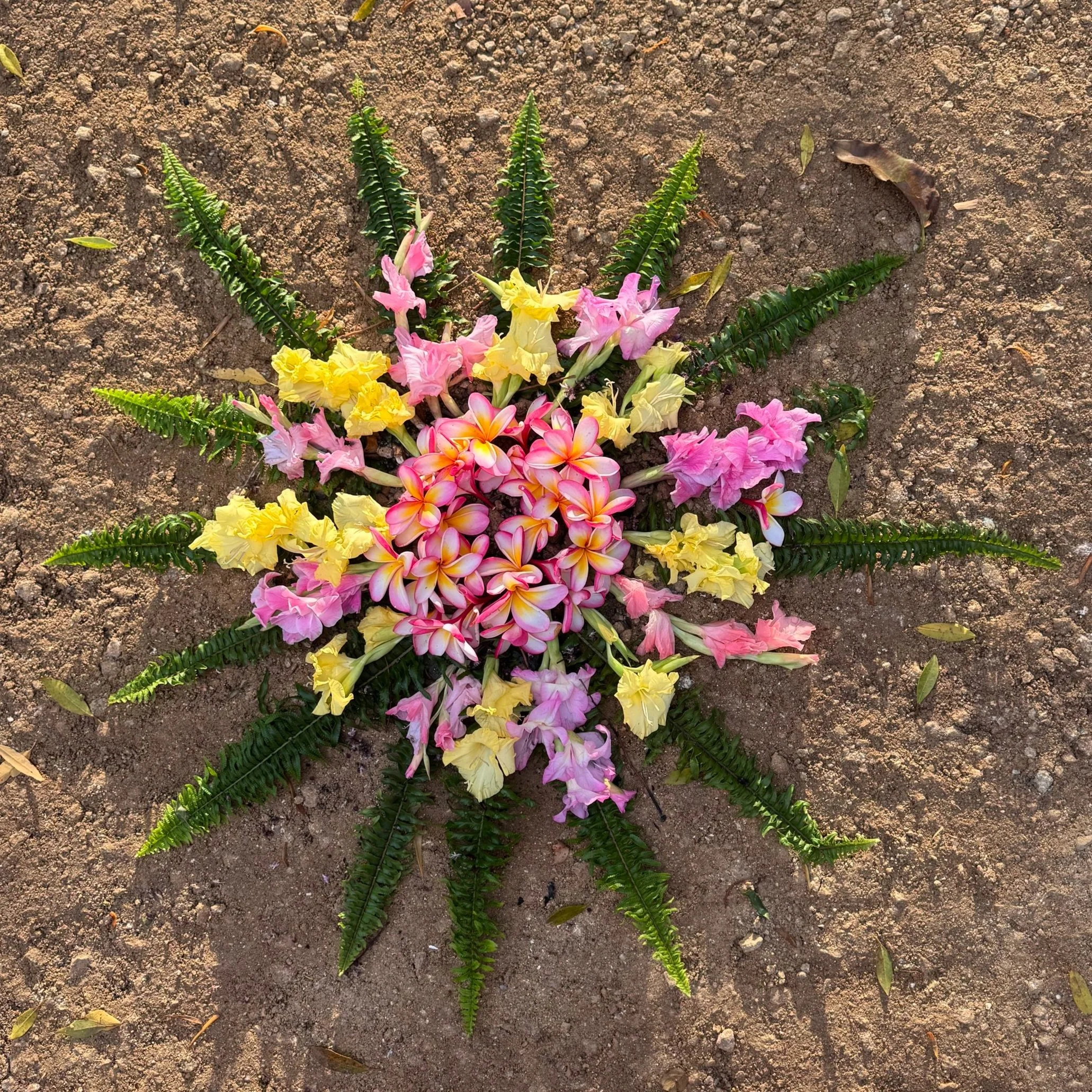 Listen to Placenta’s Song