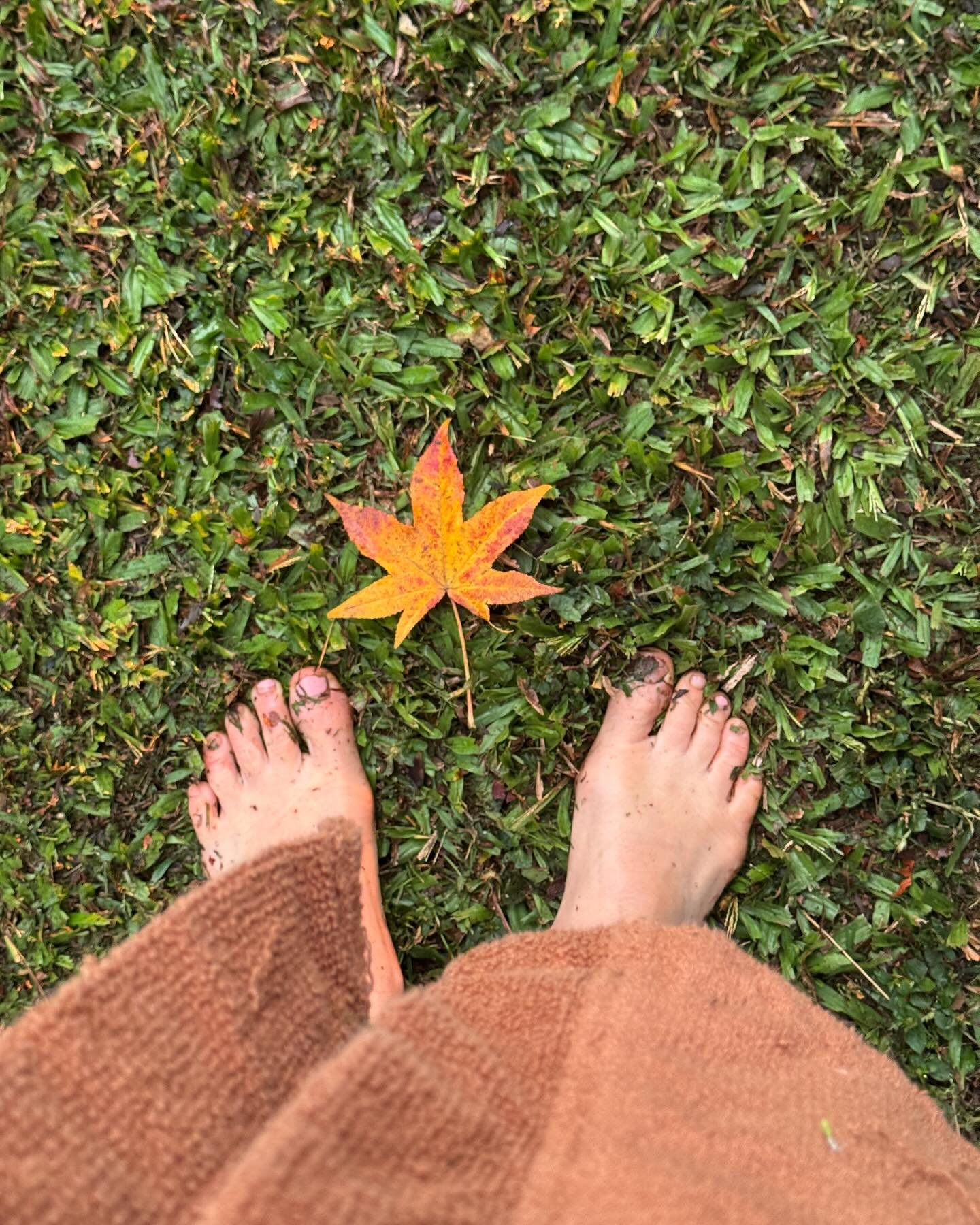 Deep listening&hellip;.
Bare feet on the earth. 
A fallen leaf. Autumn. 
A bowl of nourishing broth. Winter is near.
Immersed in the golden light of a new day,
I am reminded of the slow devotion to begin again.

The Earth and her seasons are always w