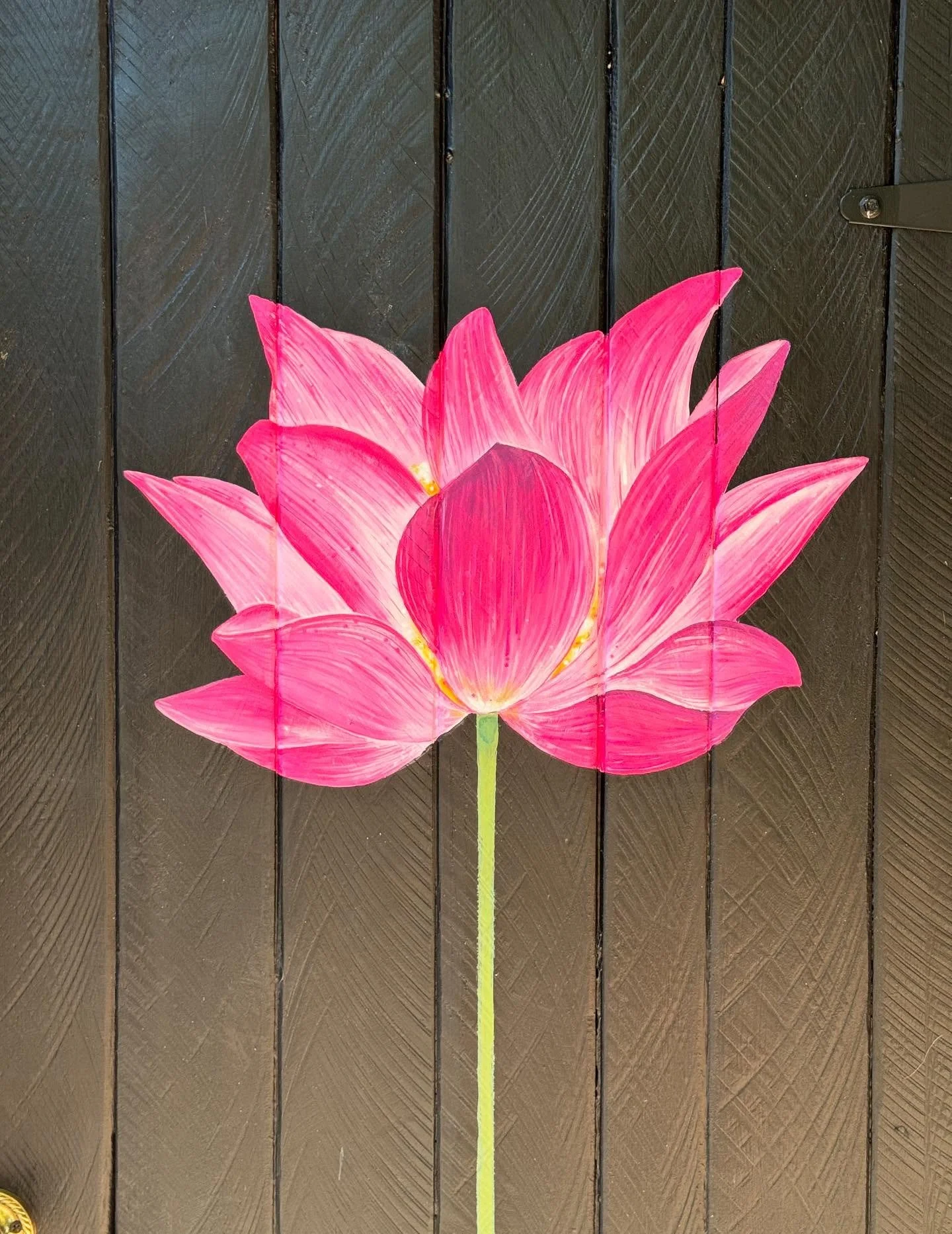 Introducing The Lotus Room - the latest creation on Sorelle. Your bathroom away from home. If you are a midwife OR you are a past, present or future midwifery client, reach out about exclusive Hipcamp opportunities for you on Sorelle - the land of th