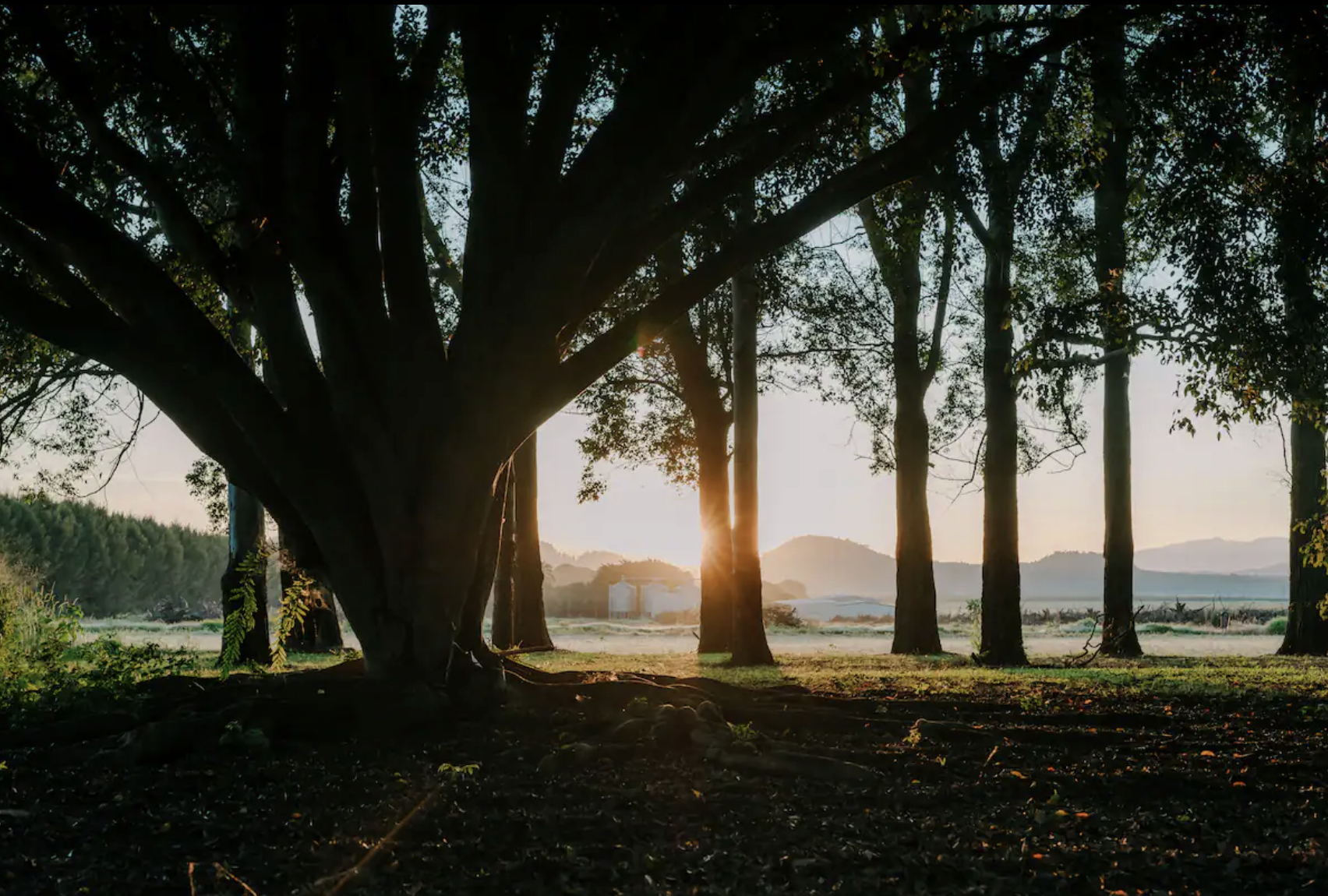 Screenshot 2025-12-15 at 1.03.09 pm.png