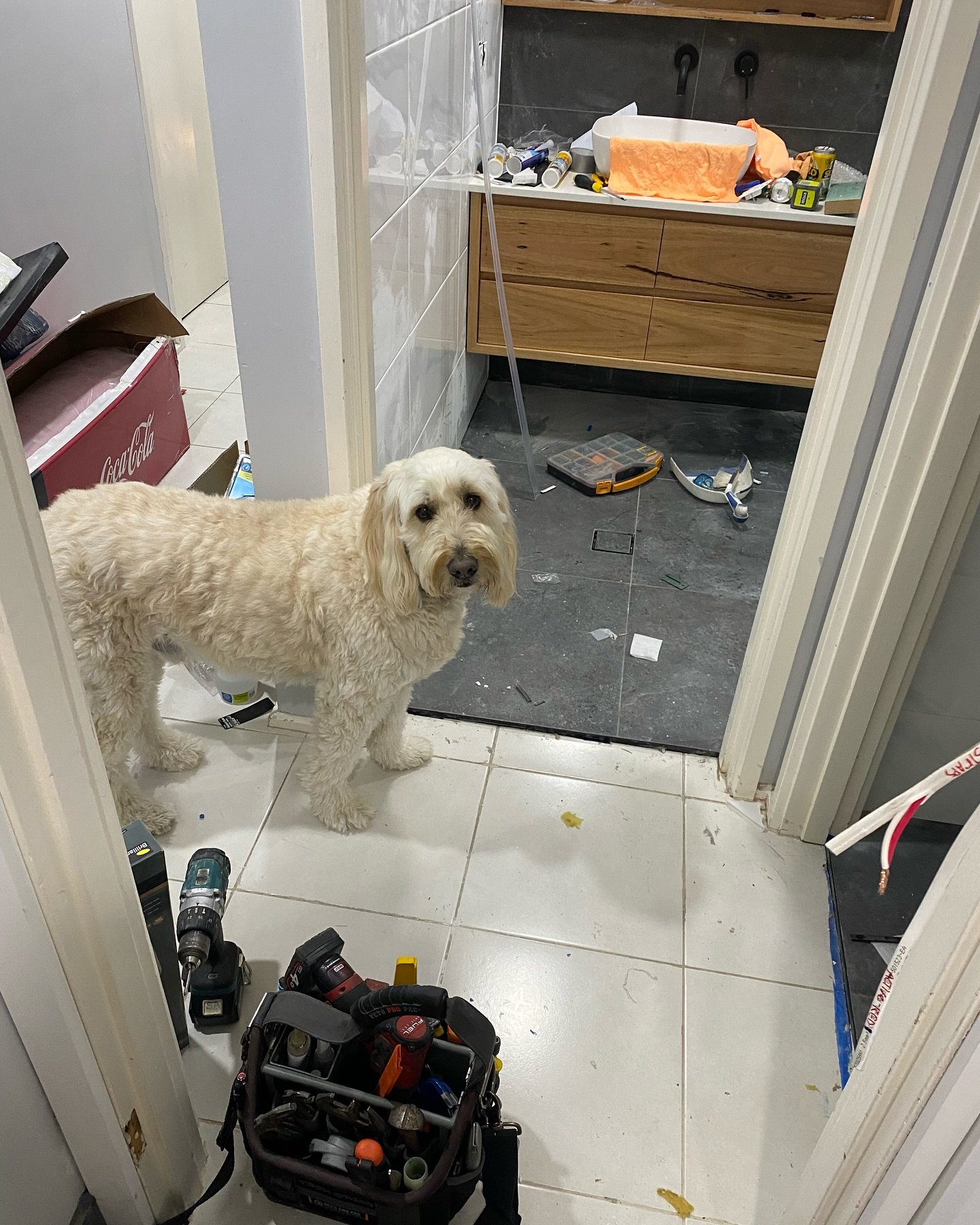 We have the best clients 🥰