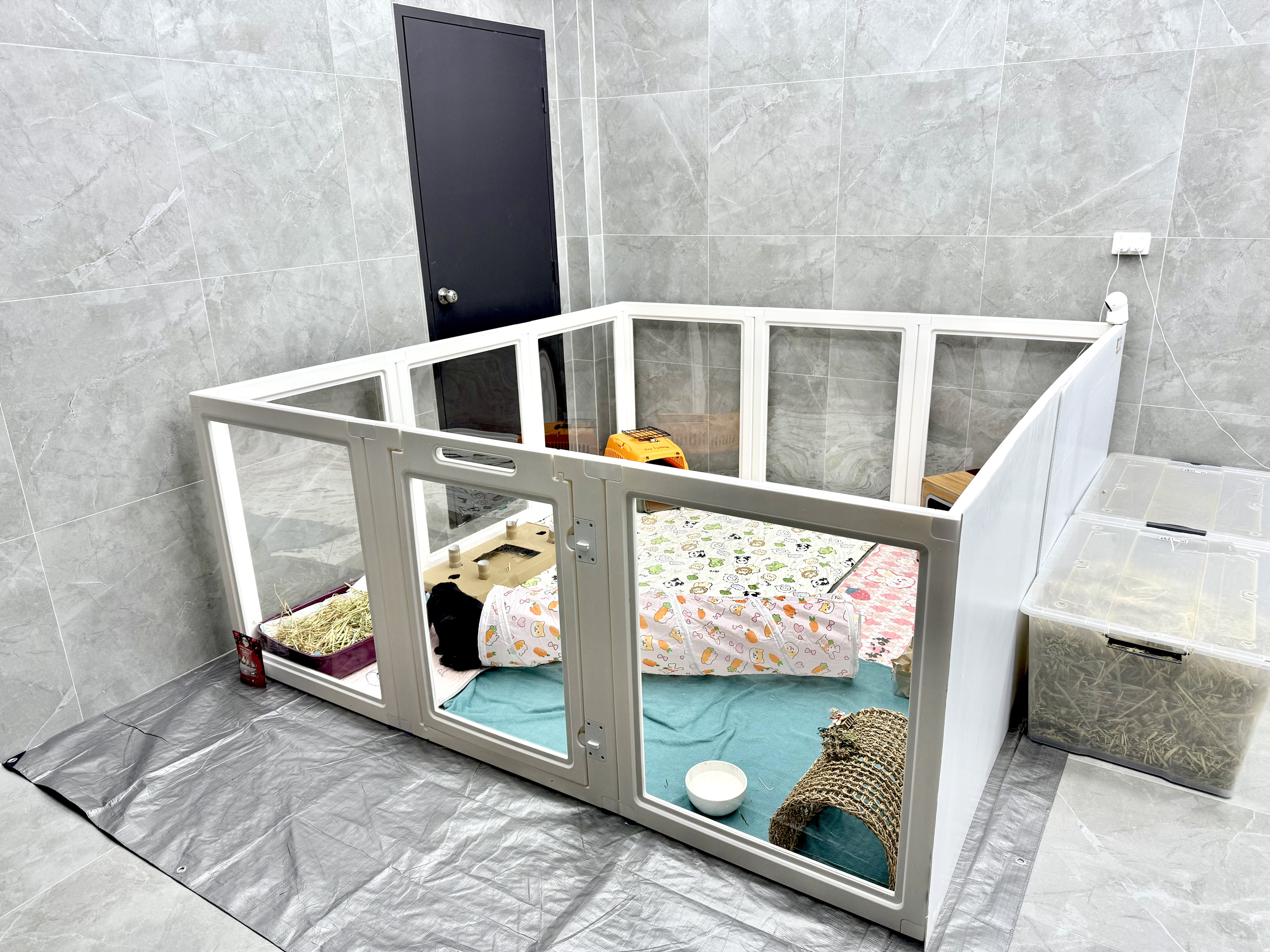 IMG_5545.png