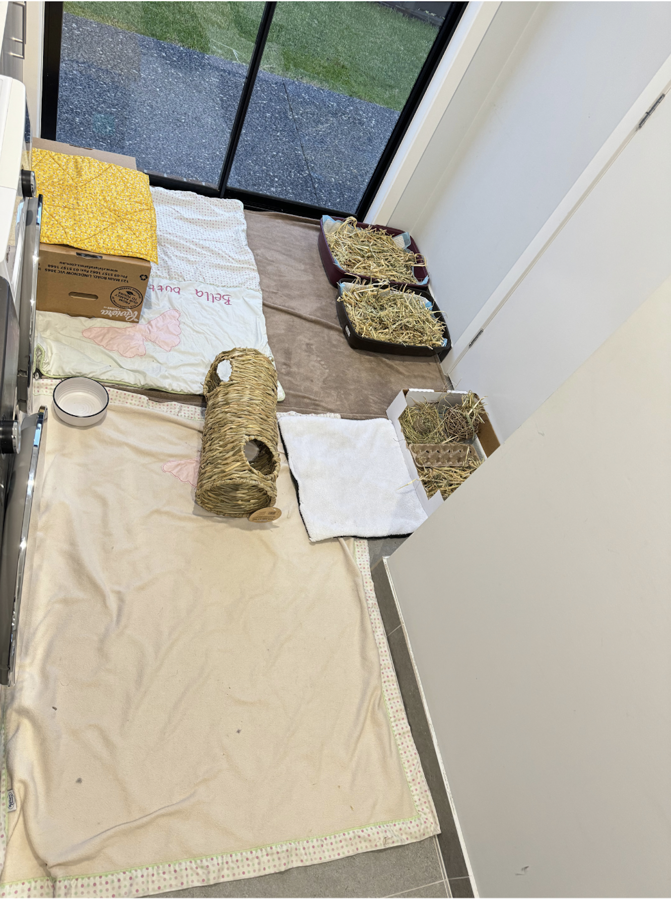 Screenshot 2025-11-02 at 12.28.44 pm.png