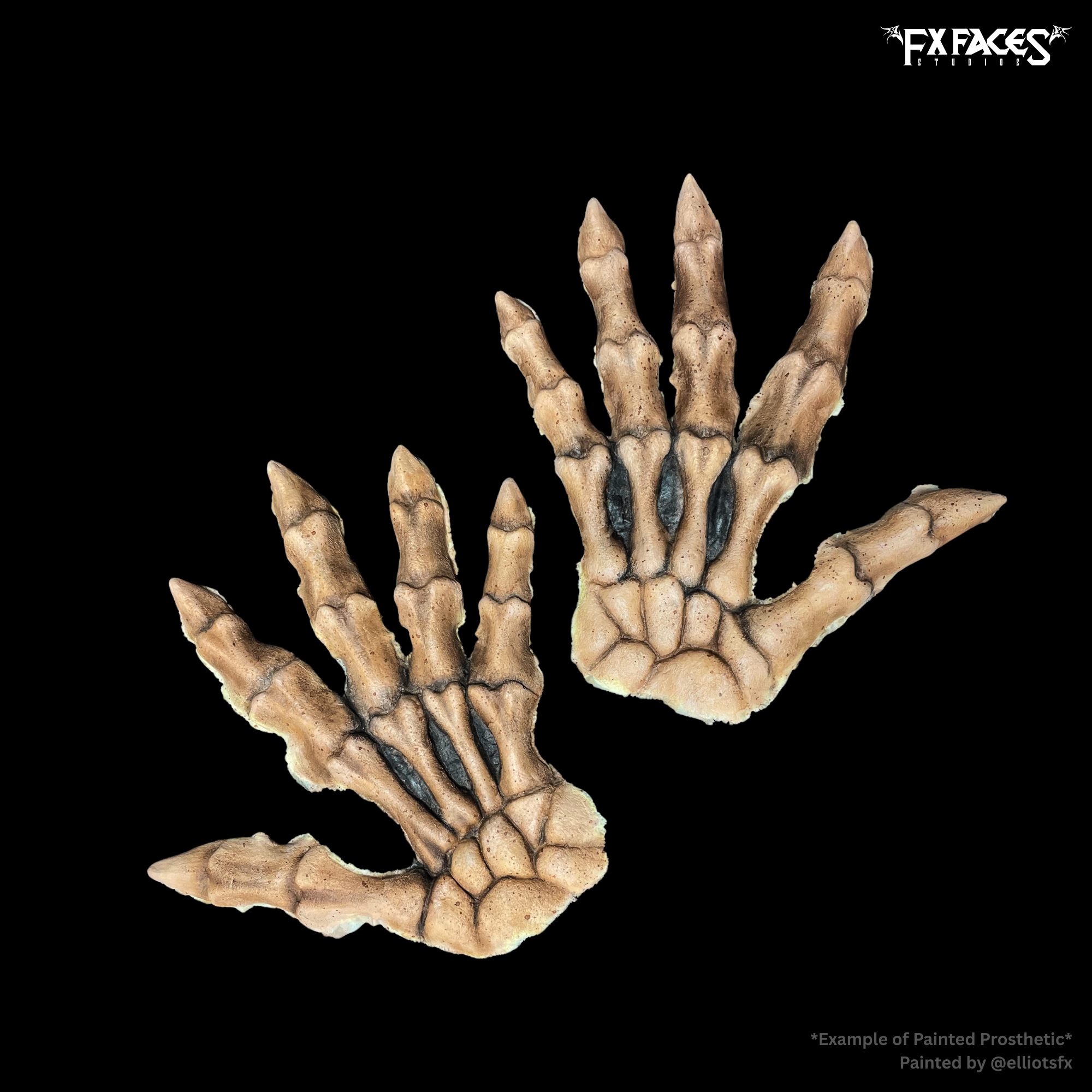 SKELETON HANDBACKS.png