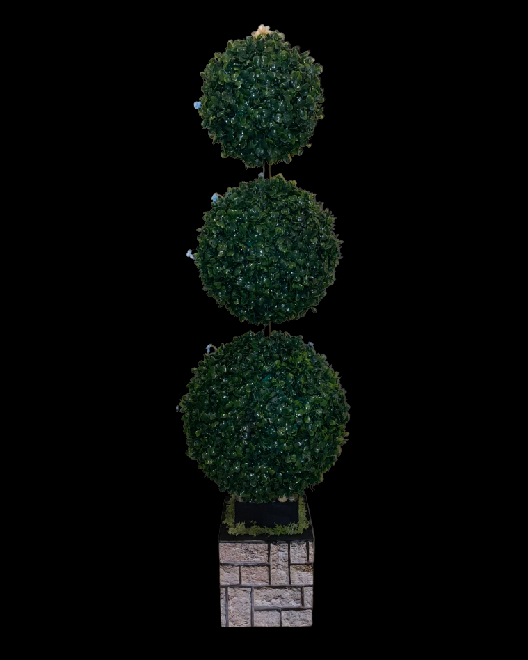 plant.png
