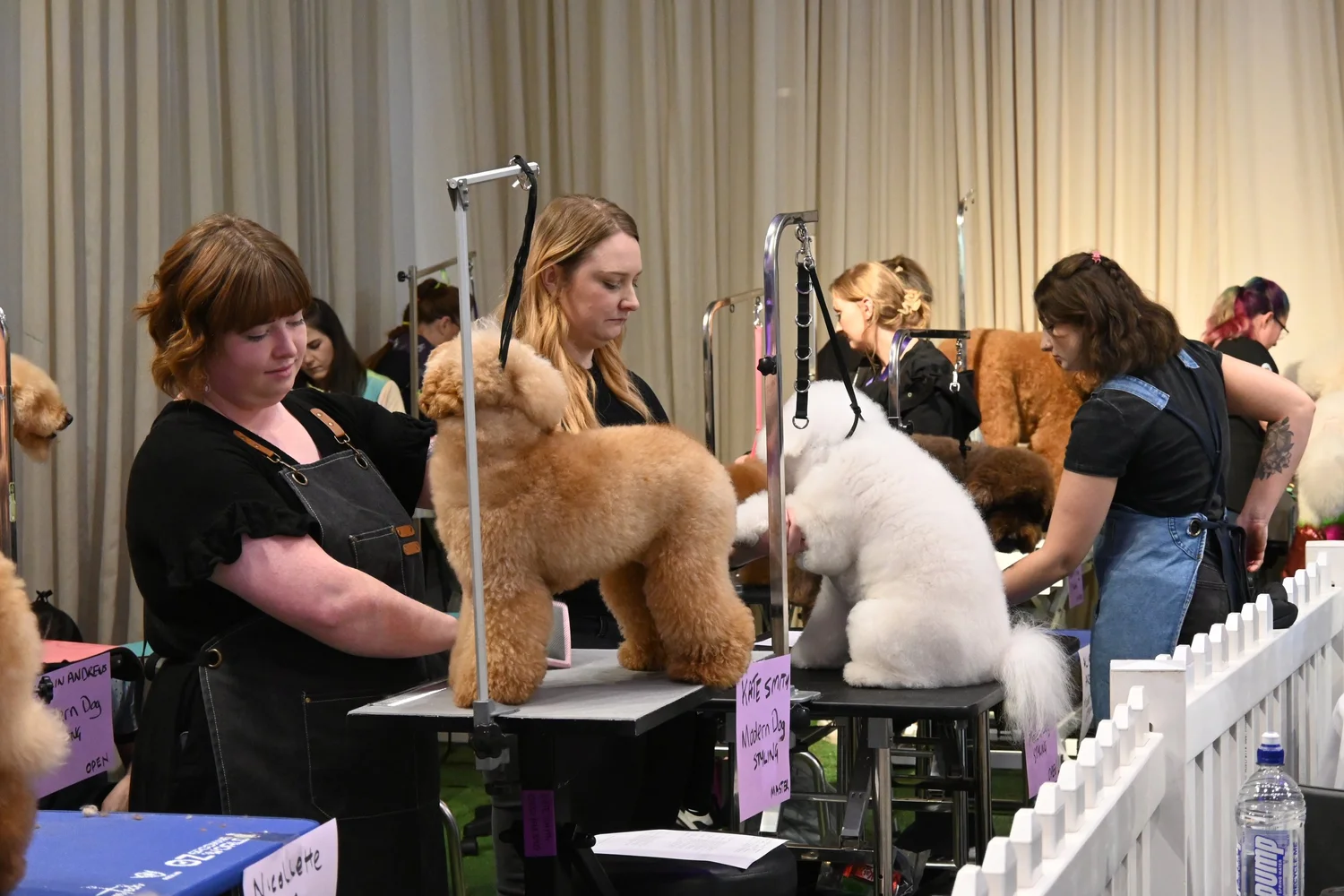 AusPet Industry Expo