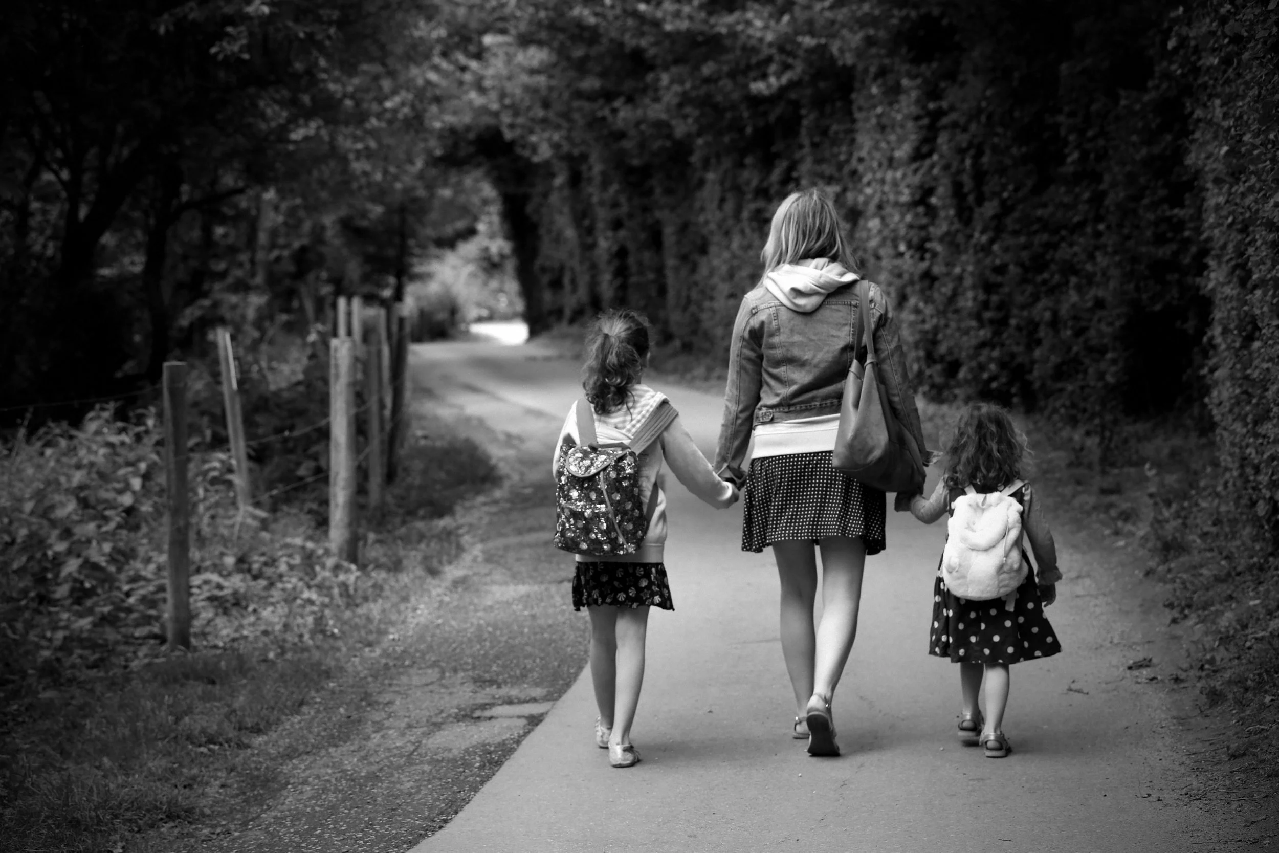 Services 1 Cathartic Pictures V2 Services 1 Cathartic Pictures V2