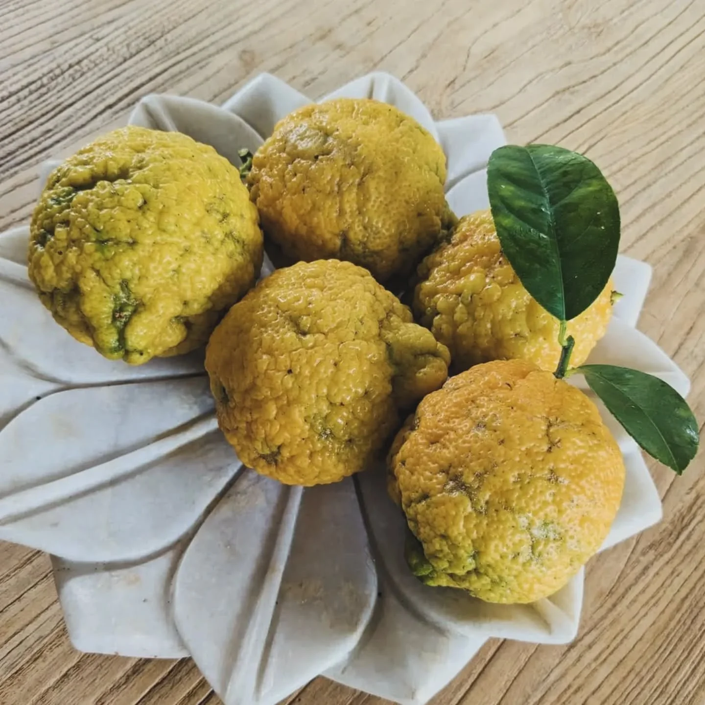 Bush lemon season is here!

The tree next to the tiny home is bursting with bush lemons right now and ready for guests during their stay!

Bush lemons are a bit knobbly and wild-looking, but they&rsquo;re just as zesty and juicy as regular lemons. Pe