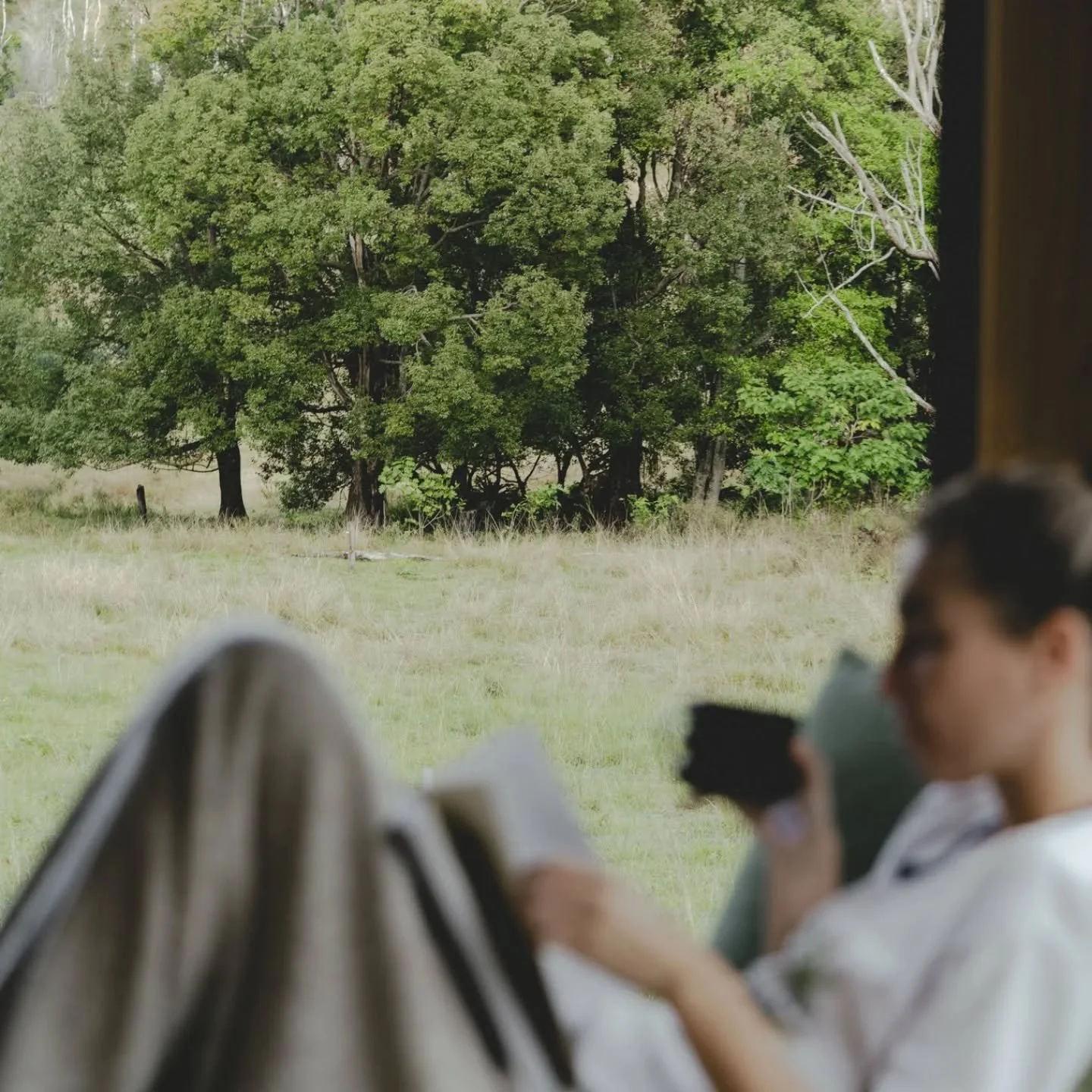 Is there anything better to do on a Sunday morning than snuggling up under a blanket with a fresh coffee and a good book?

Trick question&hellip;Yes. When you can do it in a cozy tiny home looking out onto nature and cute cows and horses.

📷 @byharr