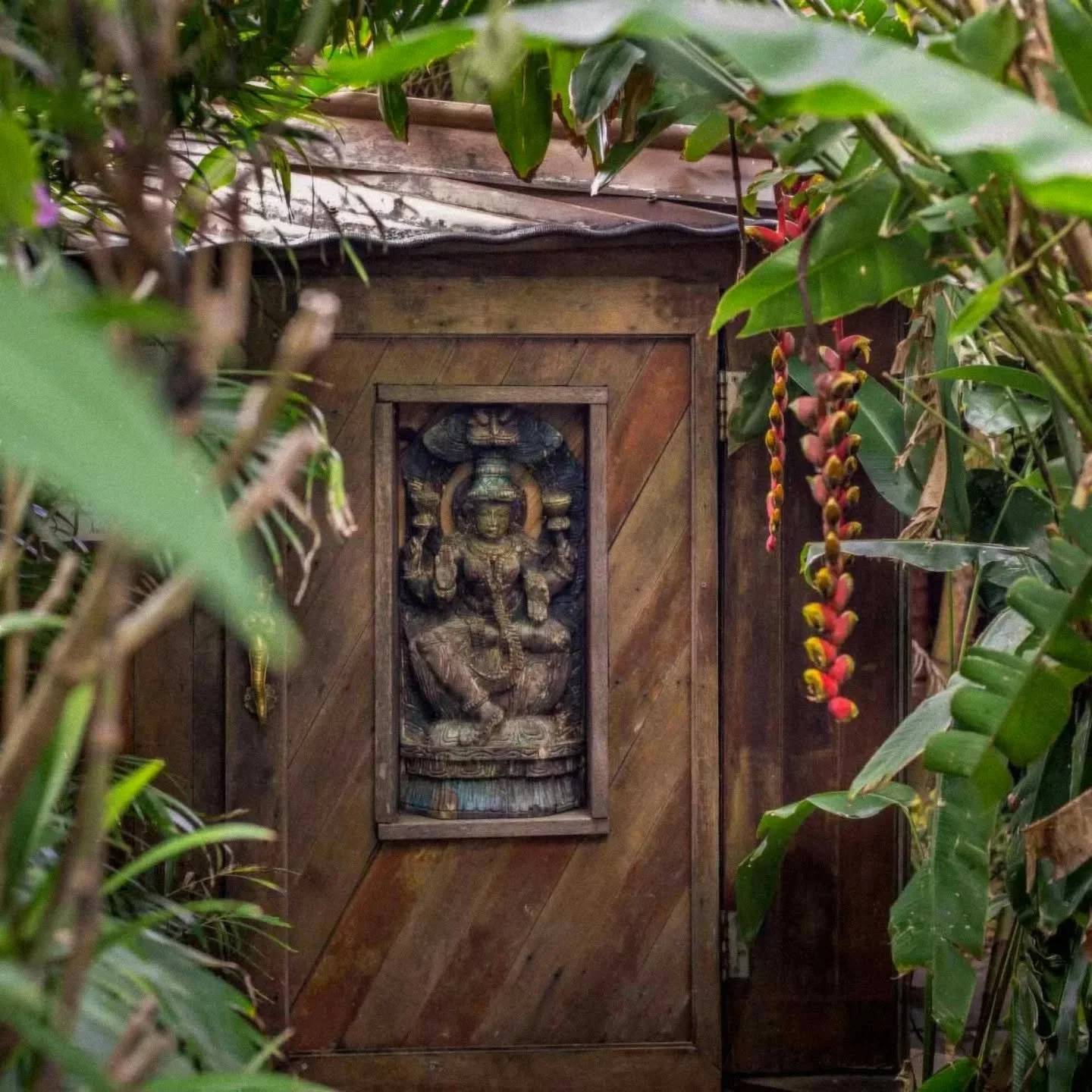 After a hard day patting farm dogs and admiring horses at the tiny home, @kiva_spa is the perfect way to start (or finish) your weekend escape. 

Tucked away in the heart of Mullumbimby, Kiva Spa is an indo-inspired, jungle, sanctuary &mdash; the air