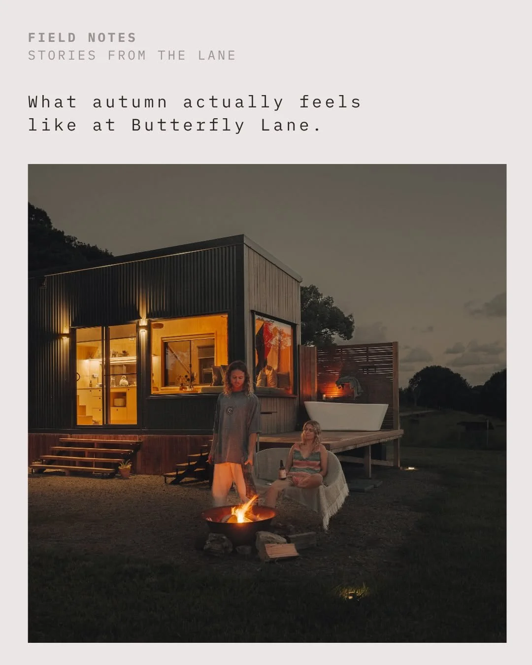 The mist burns off around 9am as the echidna's waddle back to the north corner.
The outdoor bath, already good, has somehow become even better now the air has some bite.

Autumn at Butterfly Lane is less of a season and more of a gear change - and we