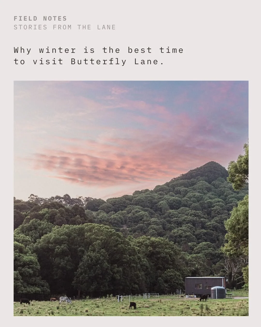 Everyone is desperate to book Byron for summer, but we reckon Winter holds its on up here.

New on Field Notes: the quiet case for winter out here. Mild, blue-sky days. Nights that drop cold enough to earn the fire pit. And the outdoor bath at its be