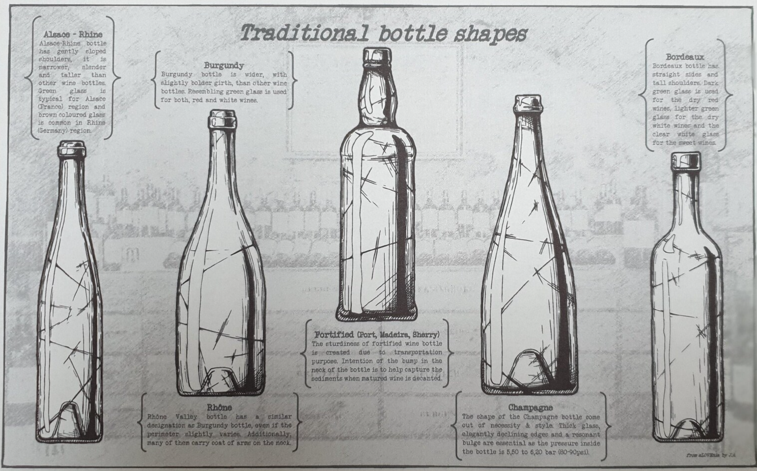 bottle shapes.png