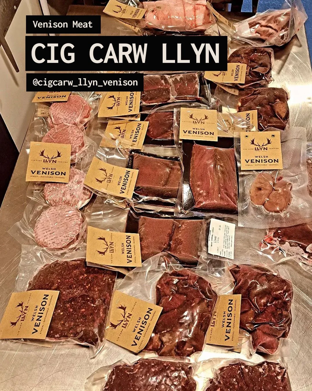 YM_MYM_Carousel_11.jpg