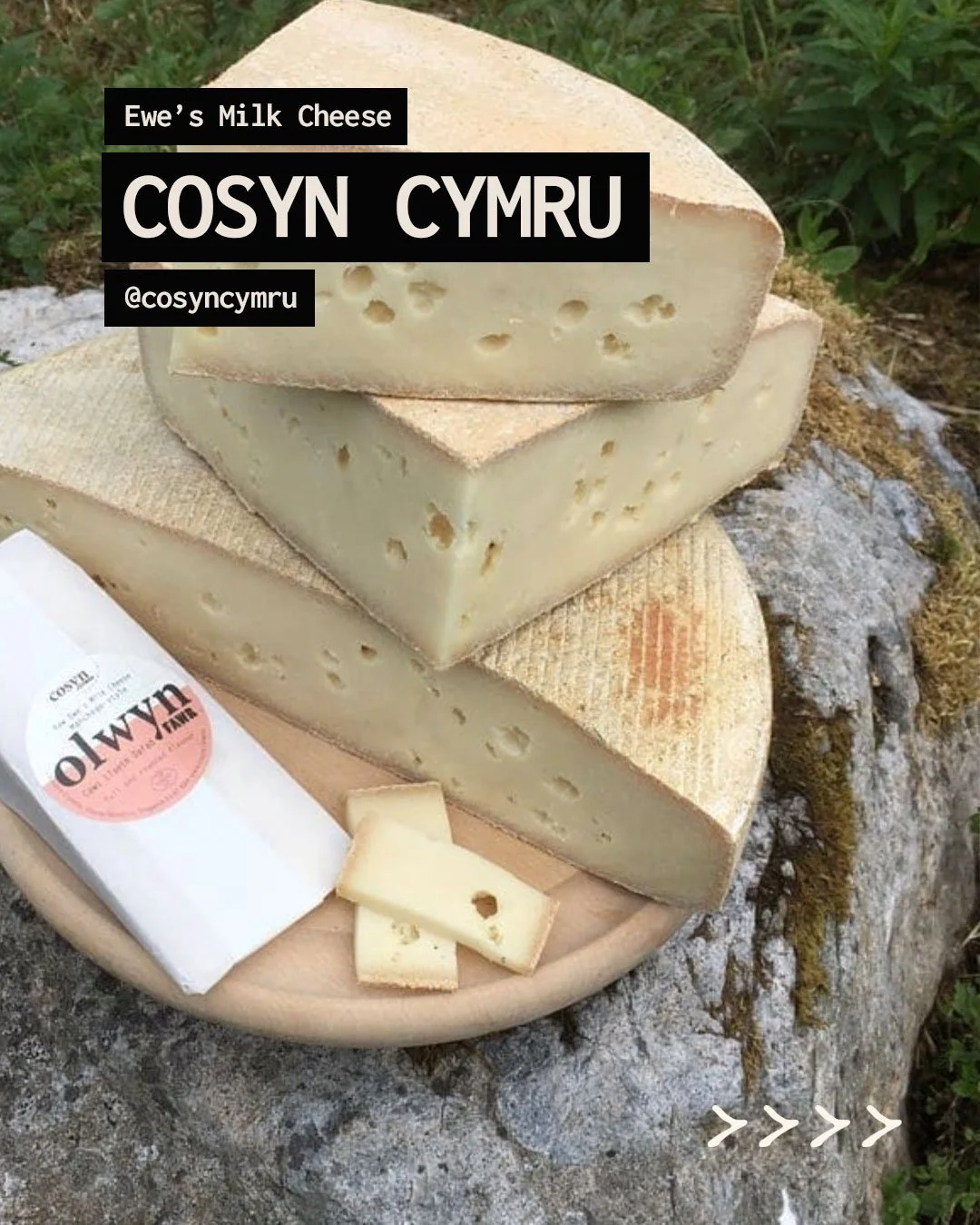 YM_MYM_Carousel_05.jpg