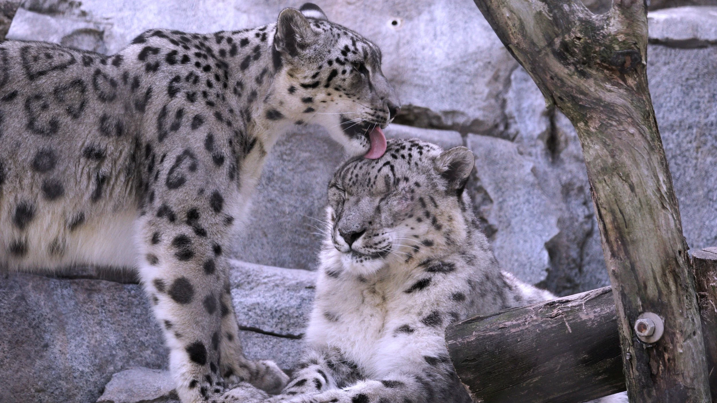 DSC04802_e.jpg
