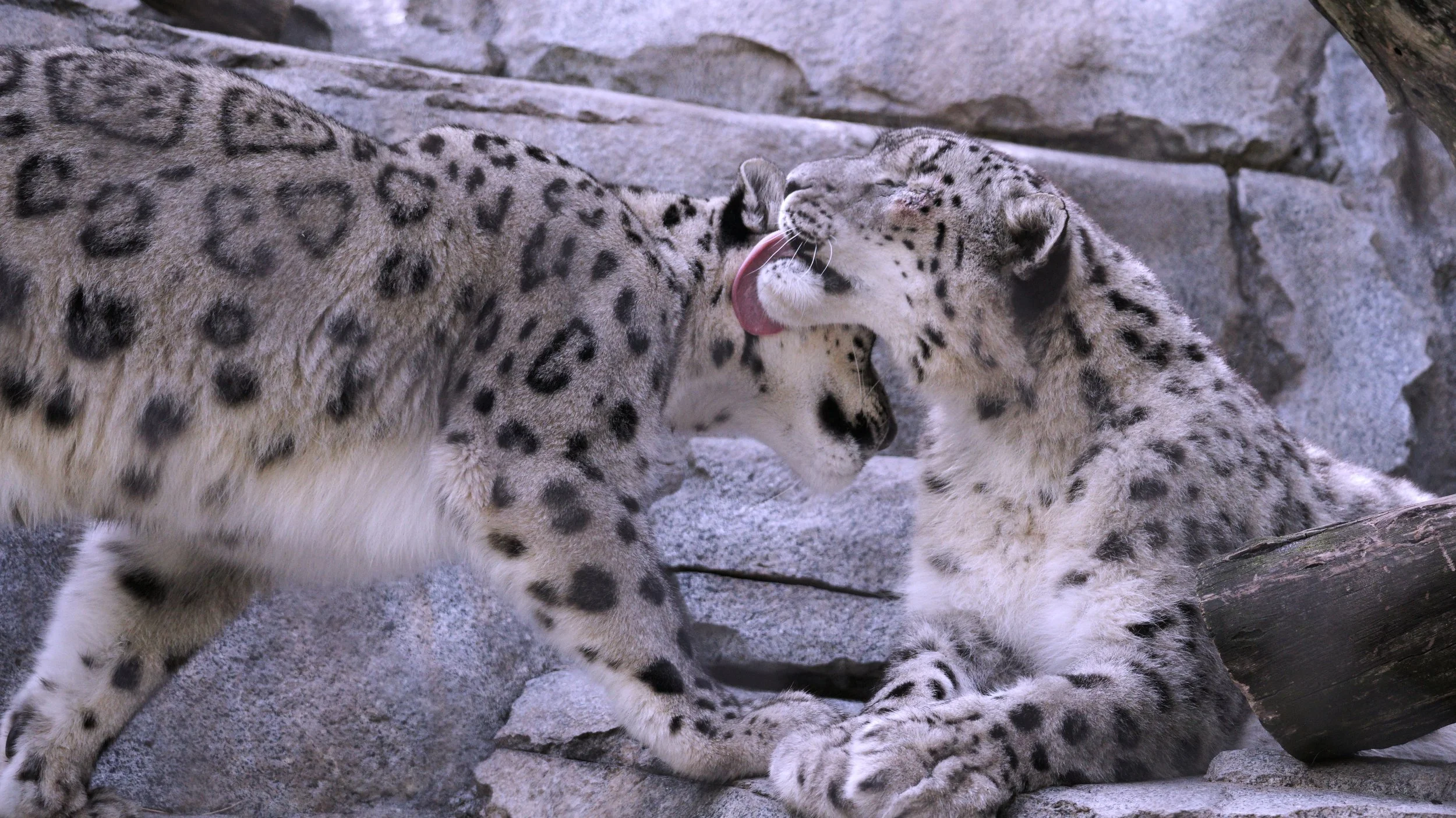 DSC04793_e.jpg