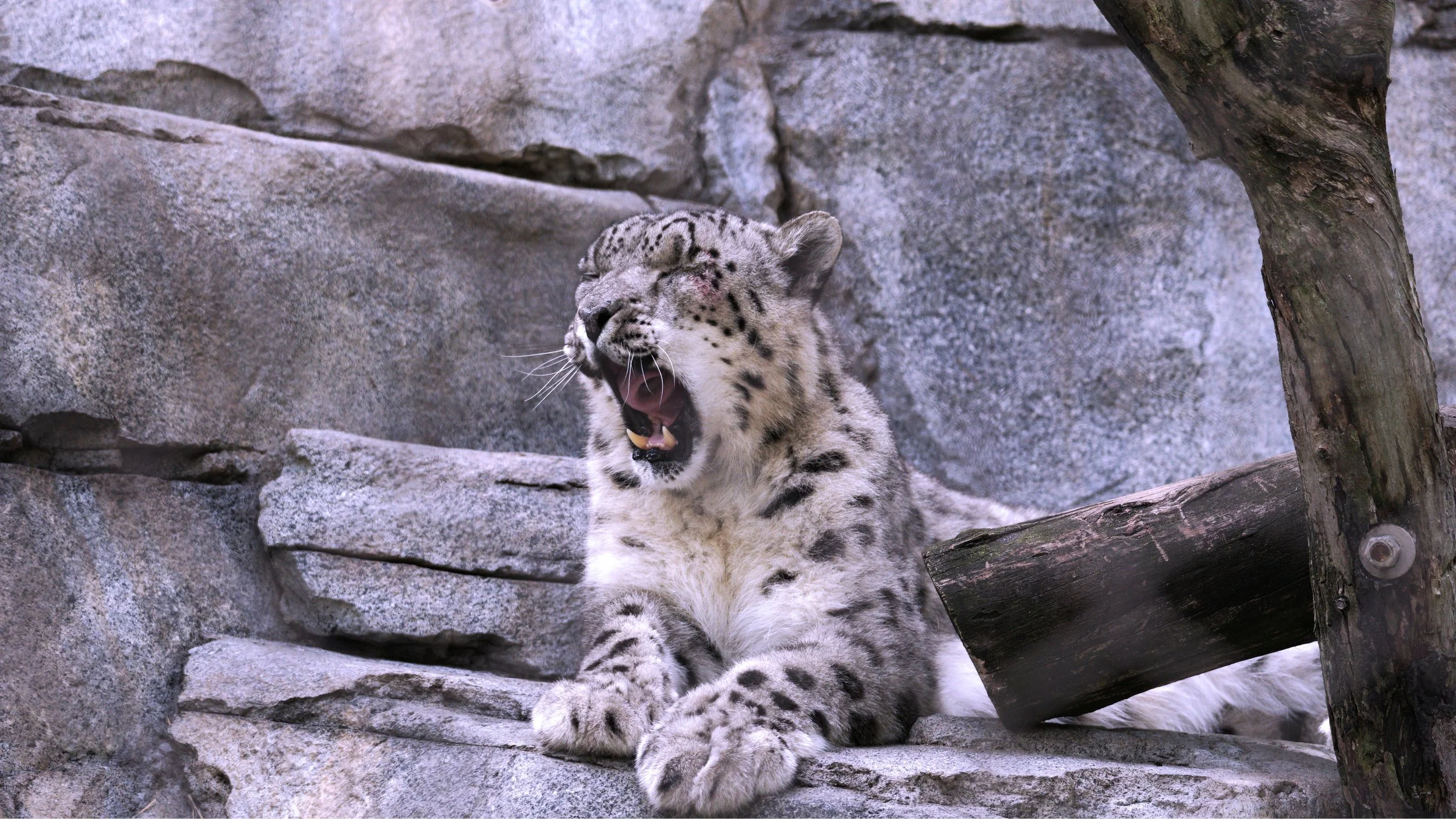 DSC04741_e.jpg