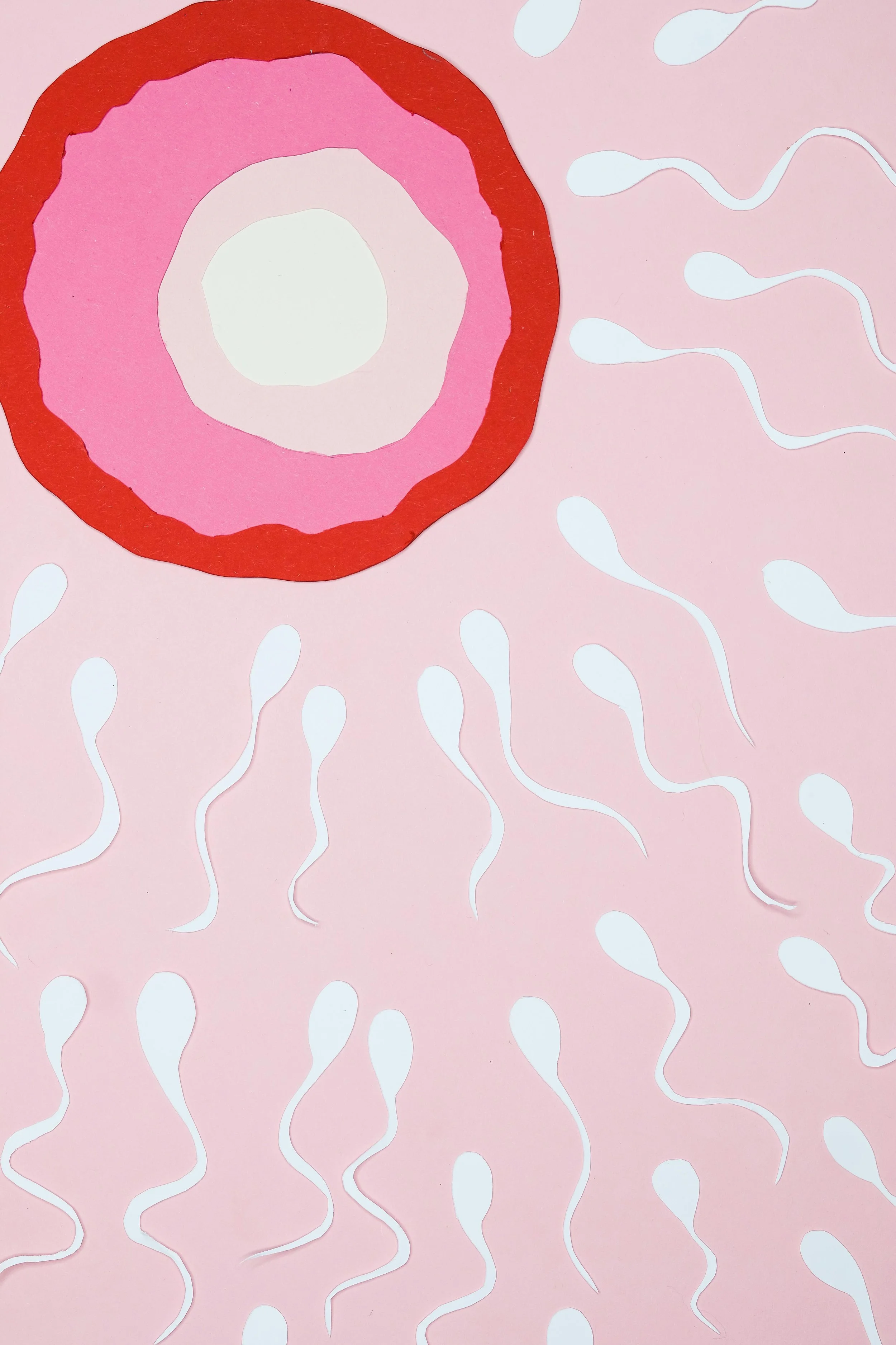 Acupuncture During IVF: Common Questions