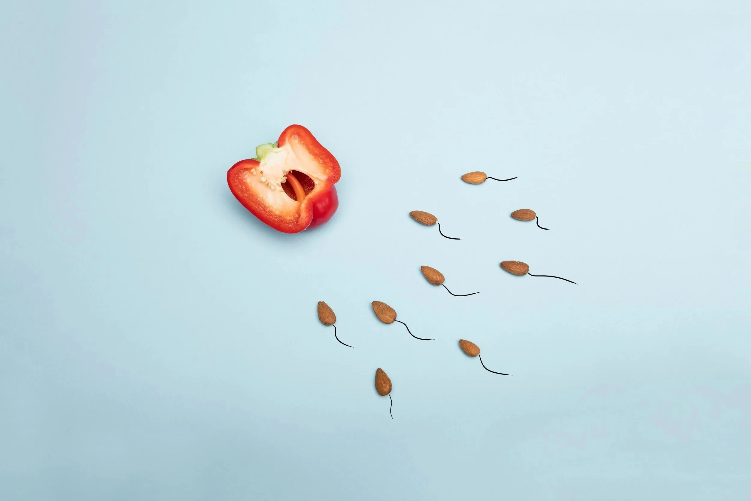 Fertility Is a Team Effort: Why Male Fertility Matters